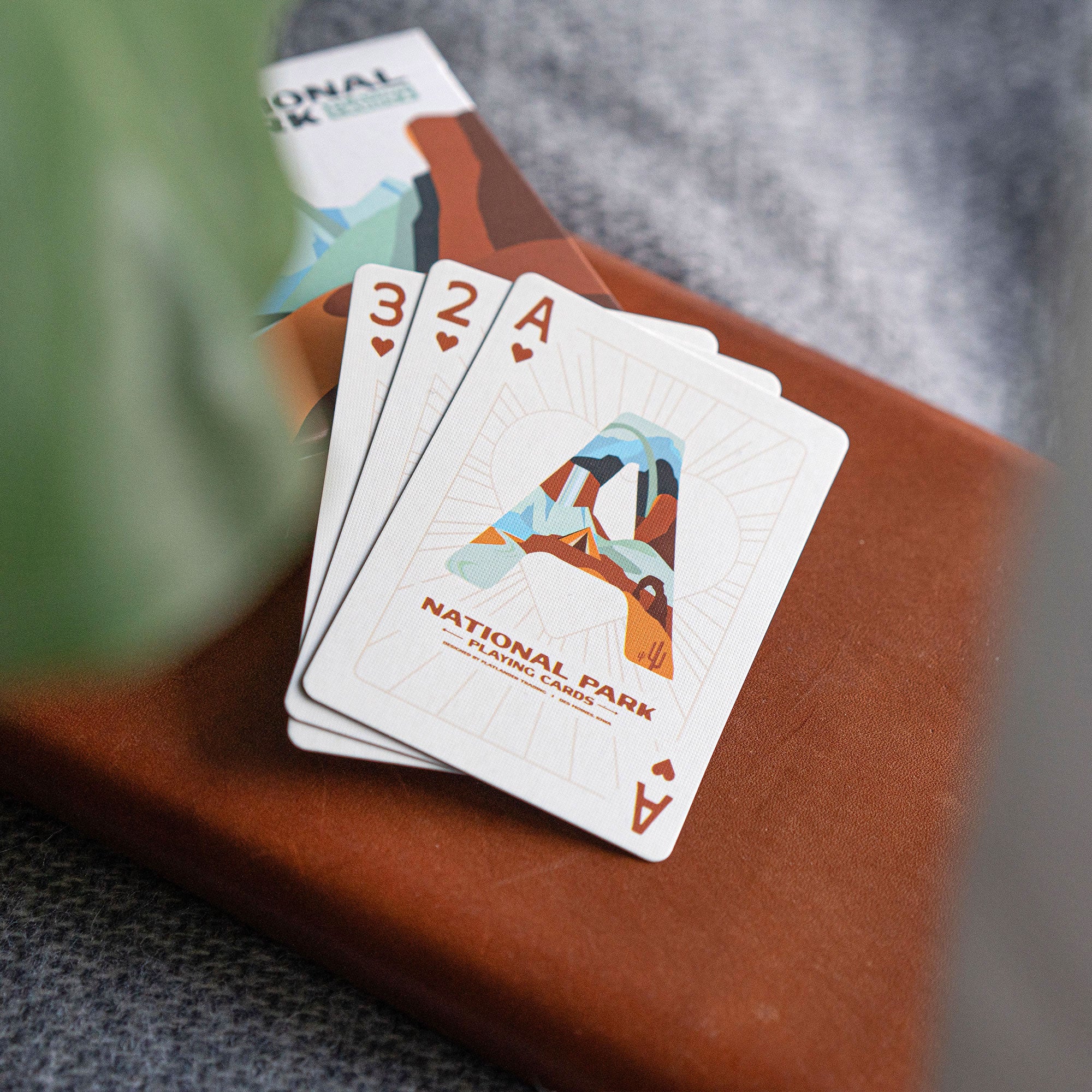 National Park Playing Cards