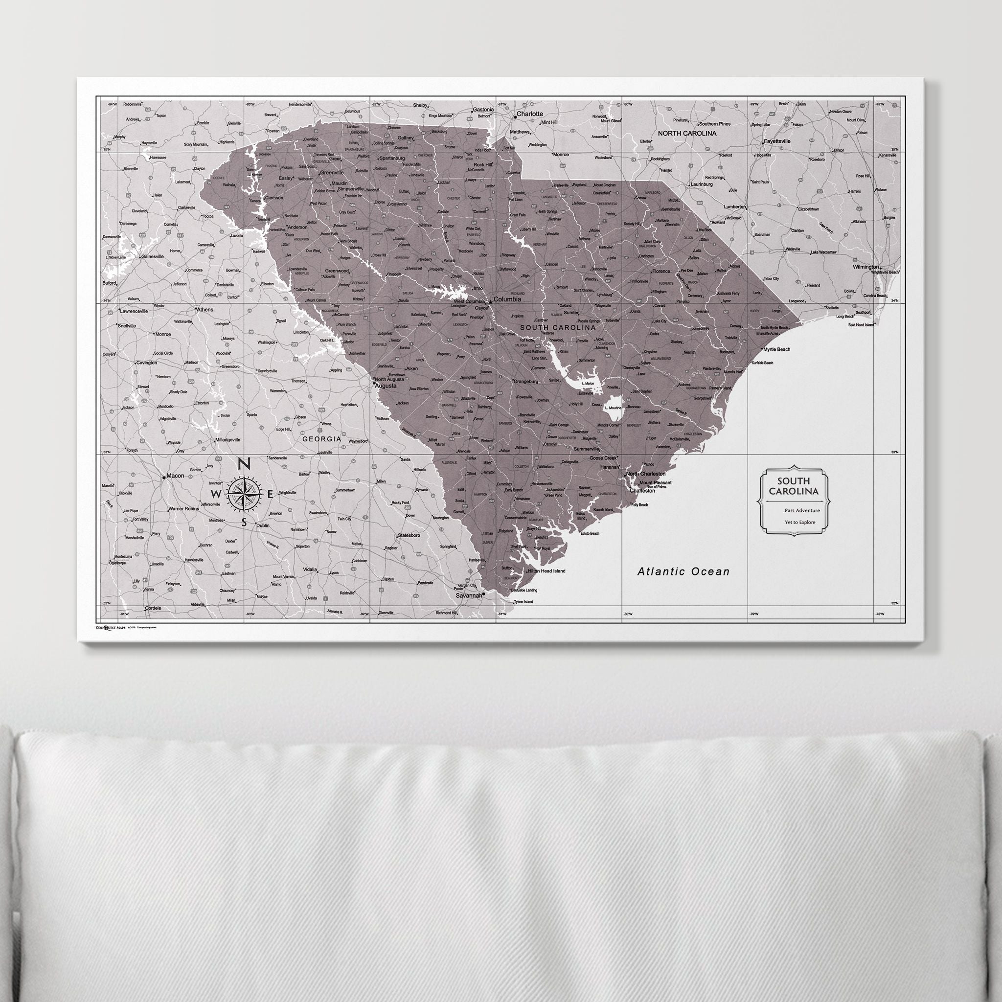 Push Pin South Carolina Map (Pin Board) - Dark Brown Color Splash CM Pin Board