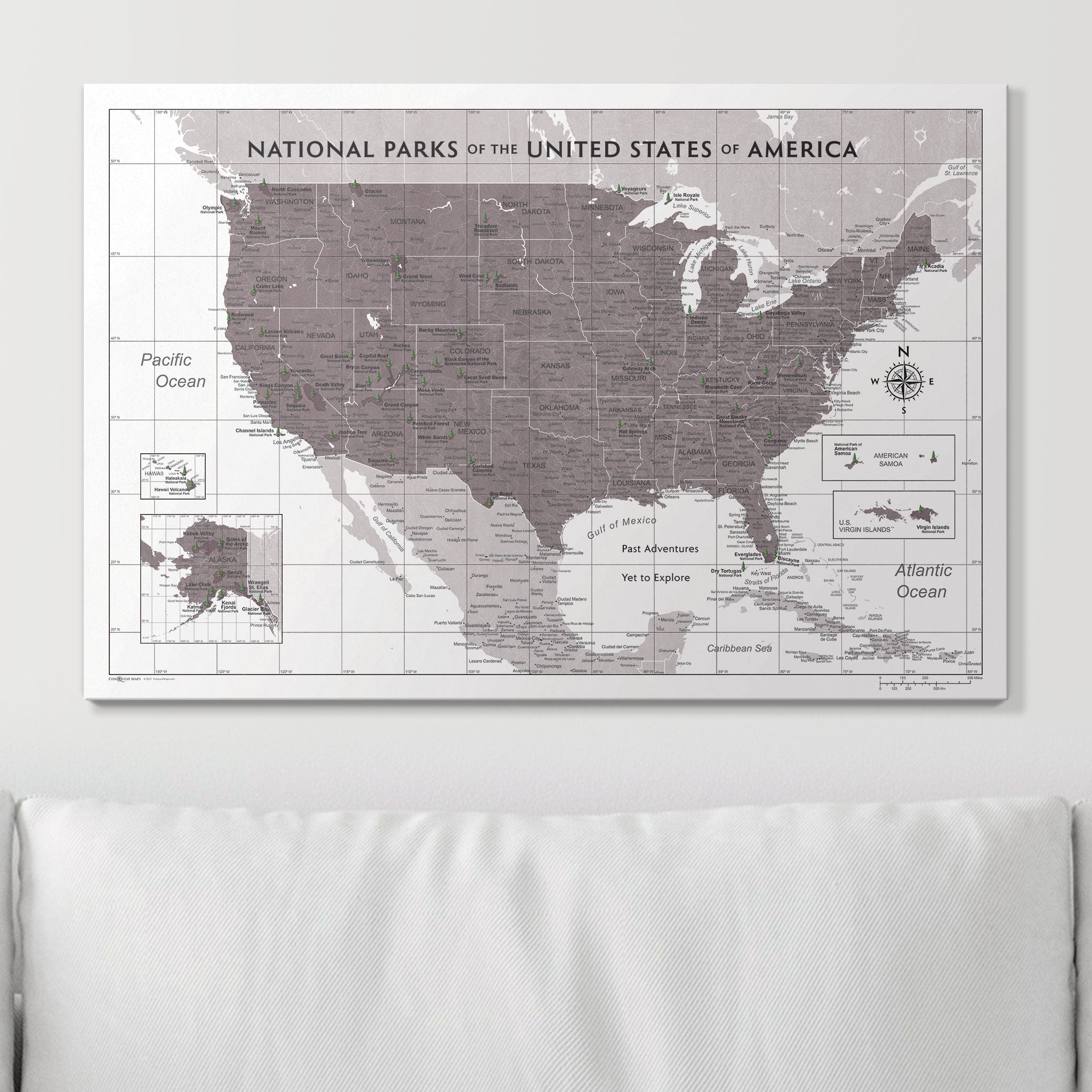 Push Pin National Parks Map (Pin Board) - Dark Brown Color Splash CM Pin Board