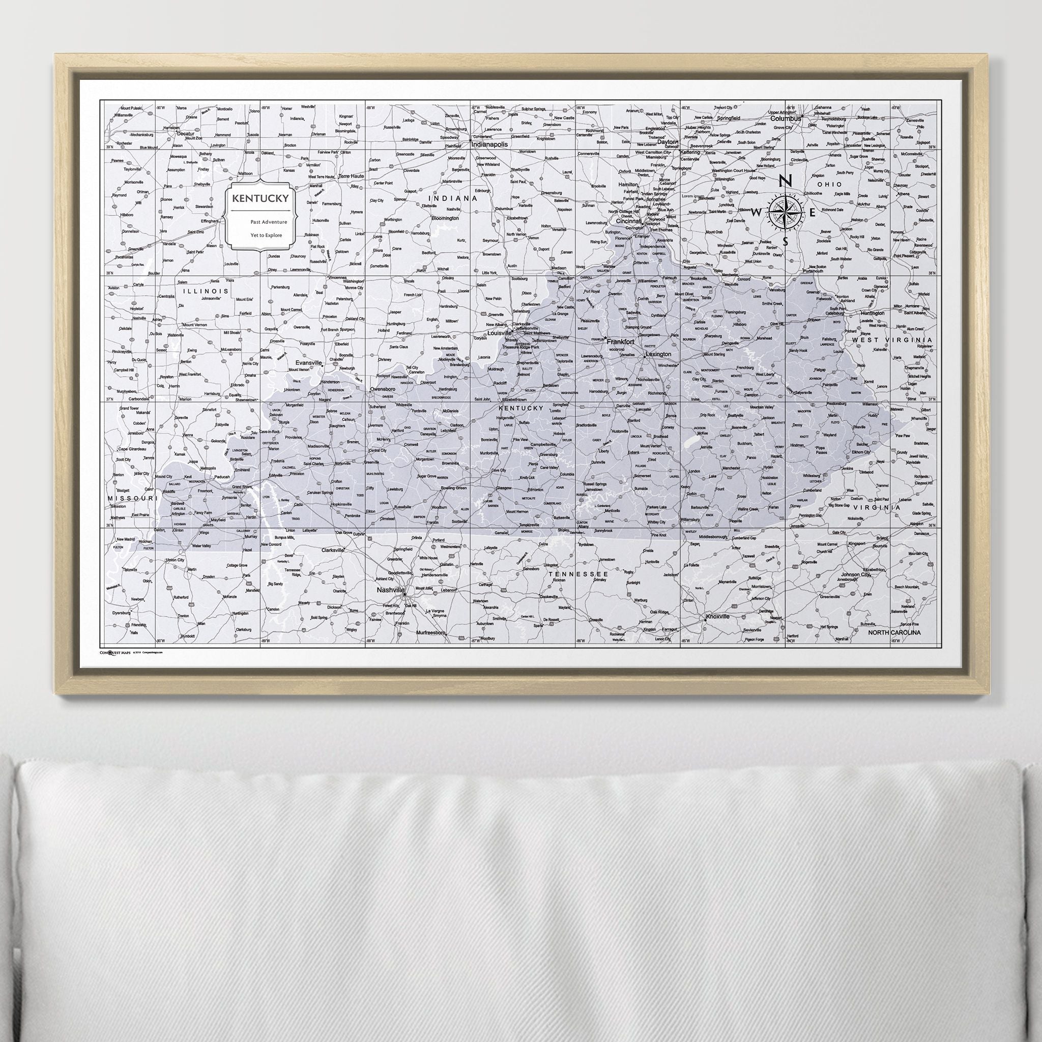 Push Pin Kentucky Map (Pin Board) - Light Gray Color Splash CM Pin Board