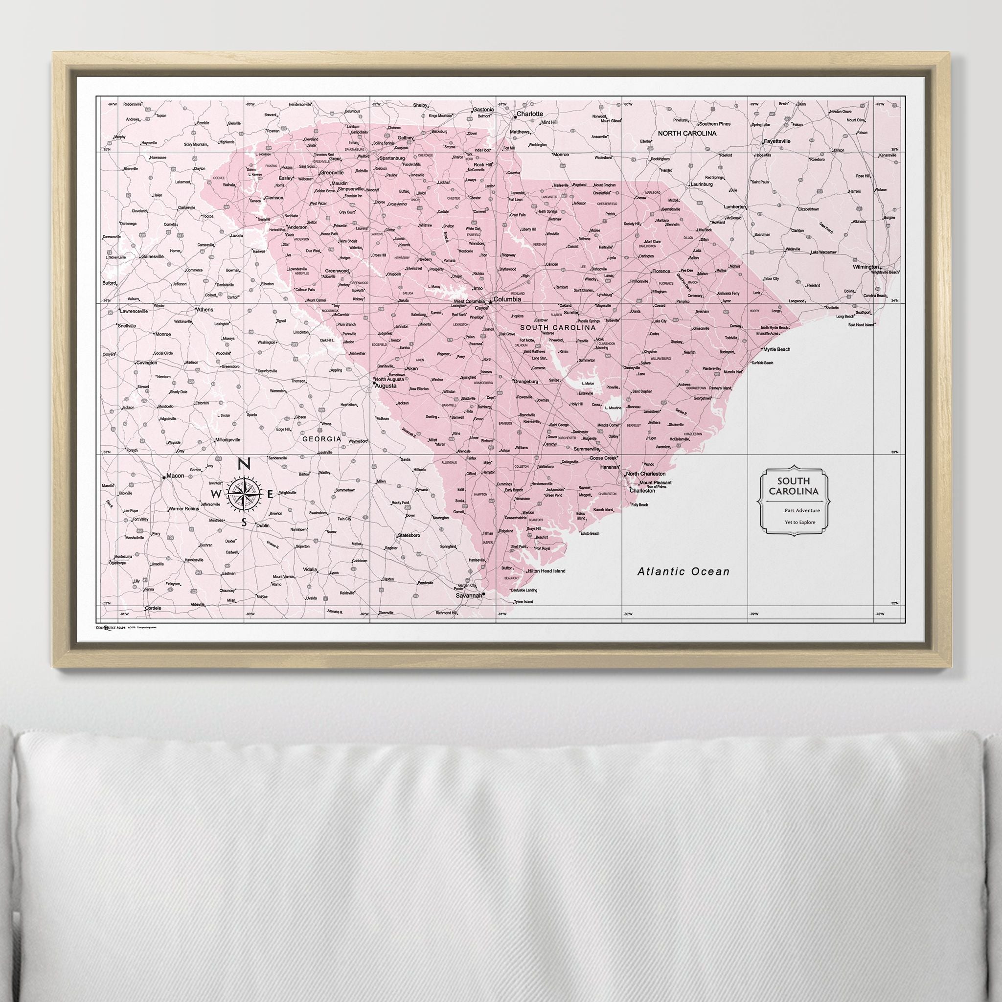 Push Pin South Carolina Map (Pin Board) - Pink Color Splash CM Pin Board