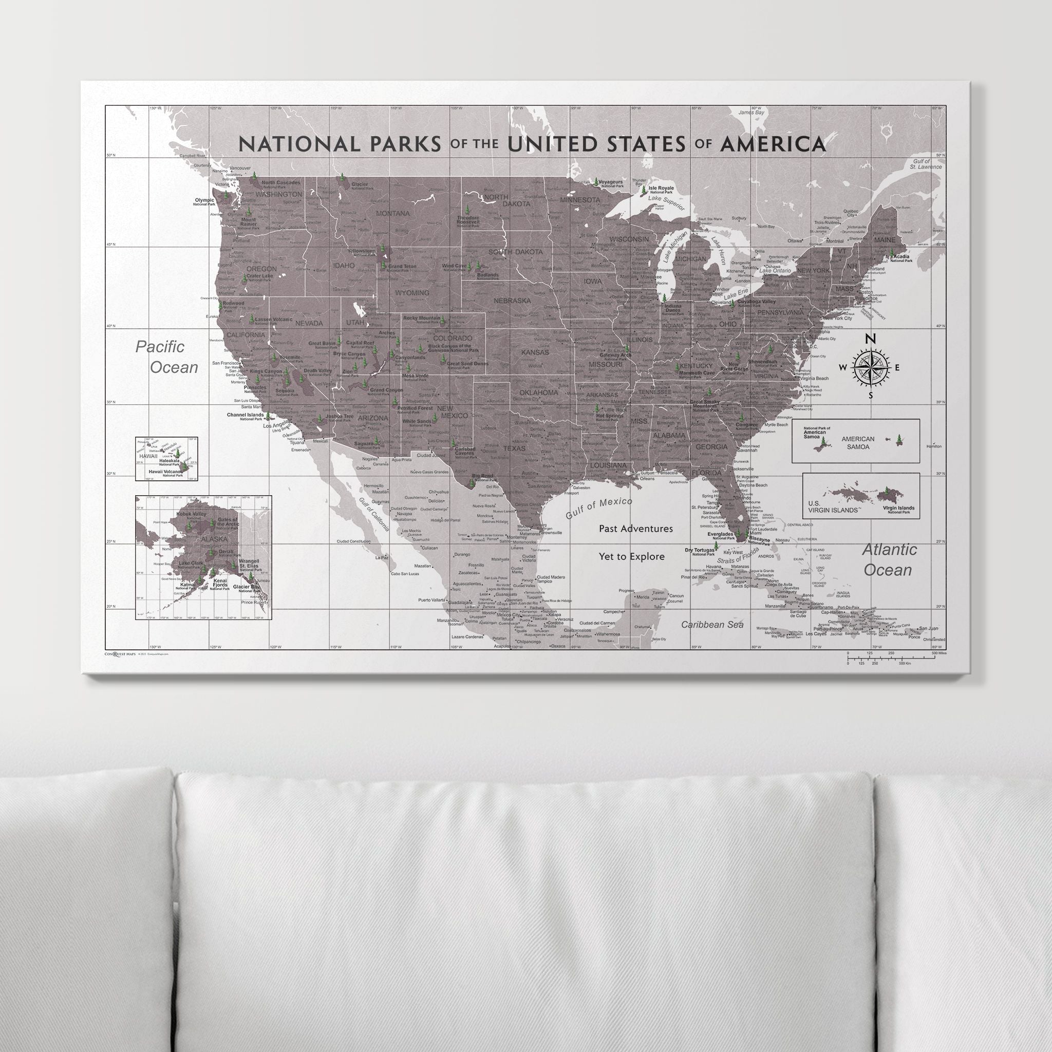 Push Pin National Parks Map (Pin Board) - Dark Brown Color Splash CM Pin Board