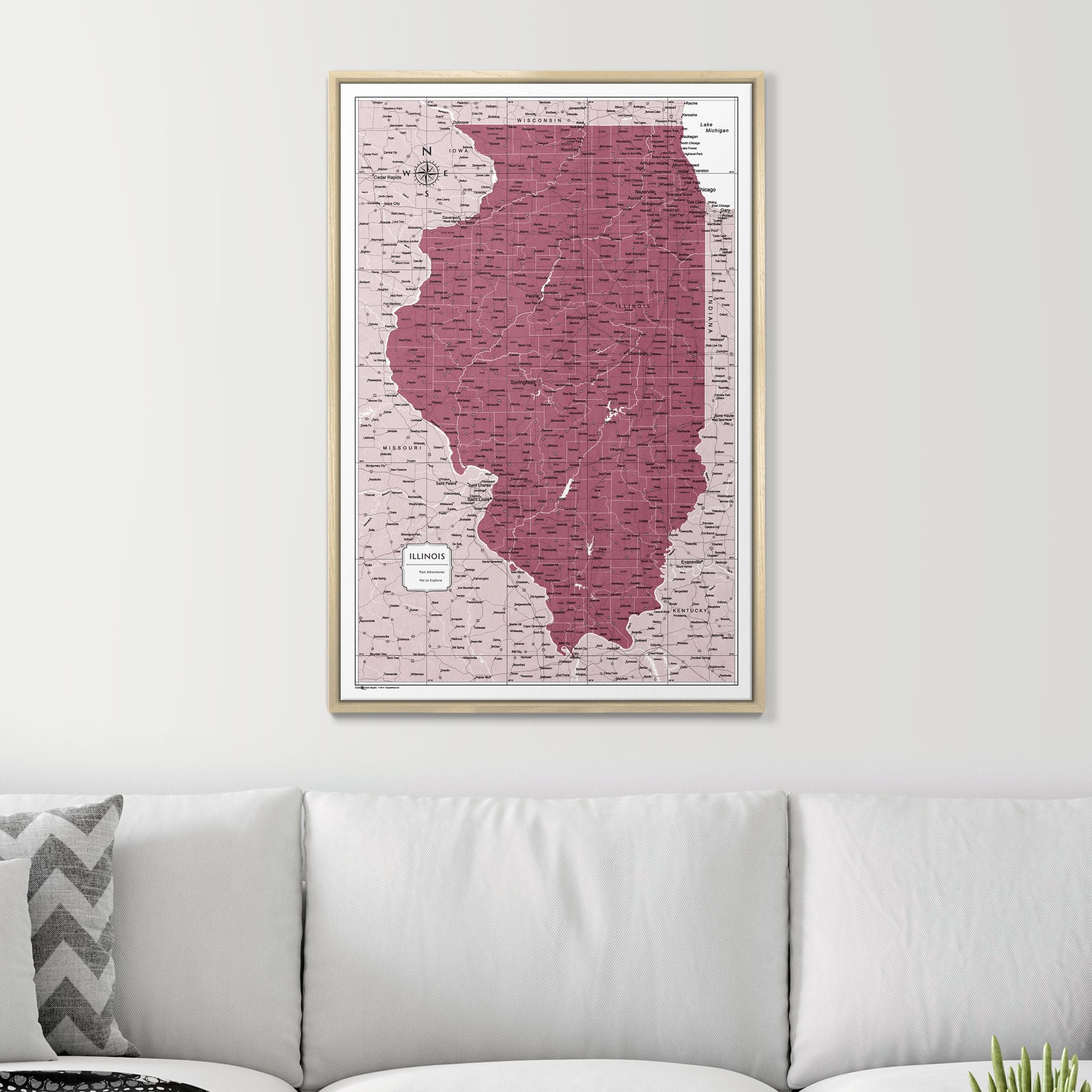 Push Pin Illinois Map (Pin Board) - Burgundy Color Splash CM Pin Board