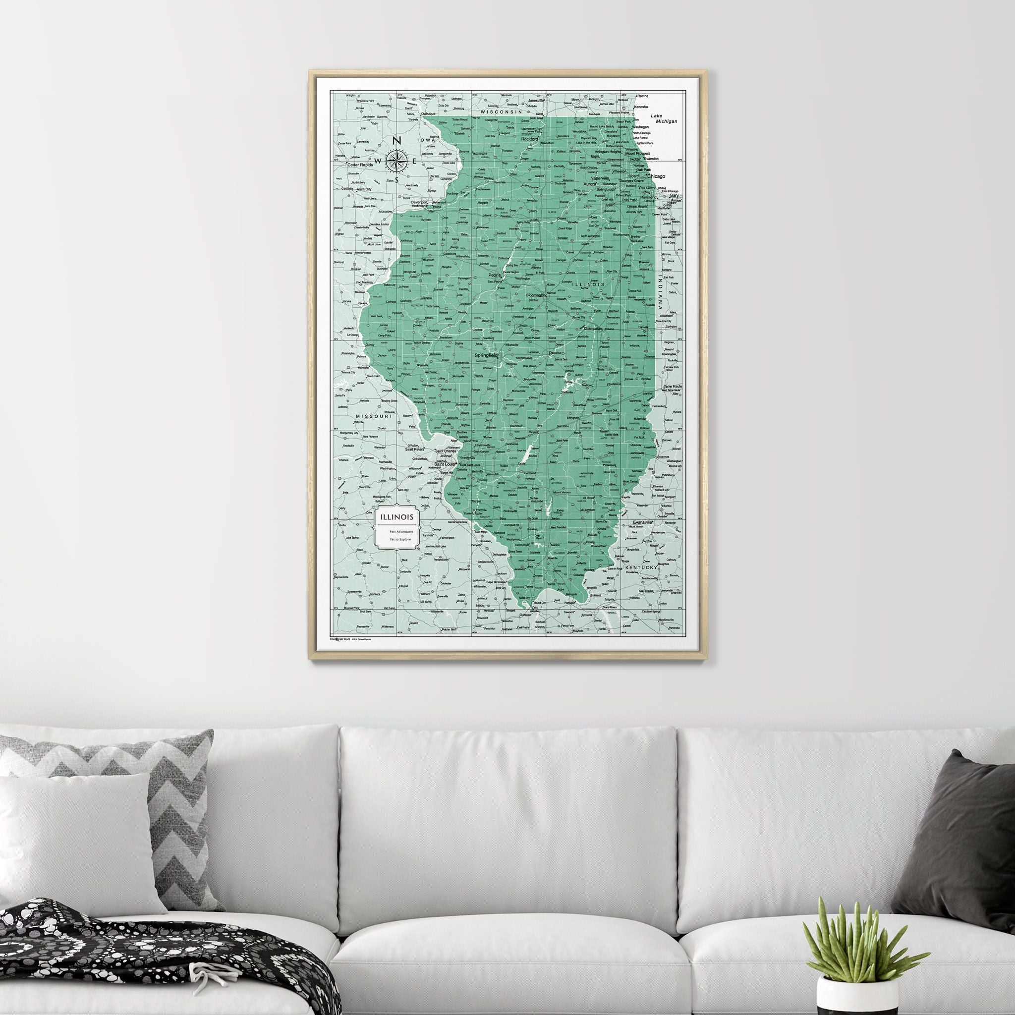 Push Pin Illinois Map (Pin Board) - Green Color Splash CM Pin Board