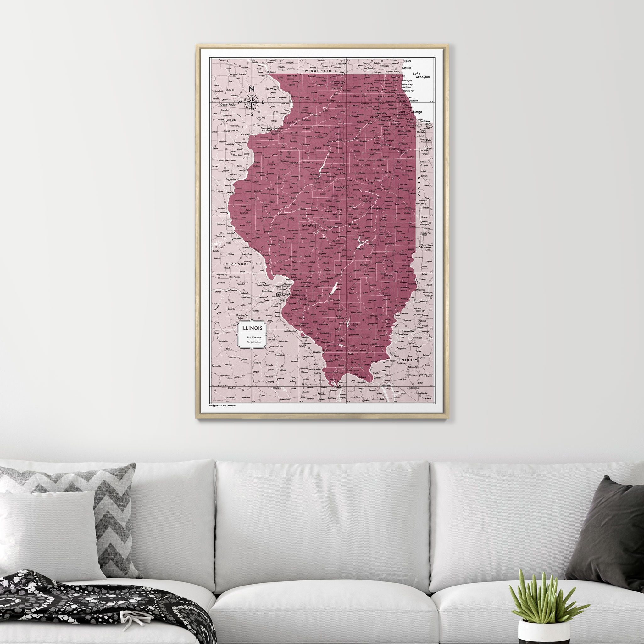 Push Pin Illinois Map (Pin Board) - Burgundy Color Splash CM Pin Board