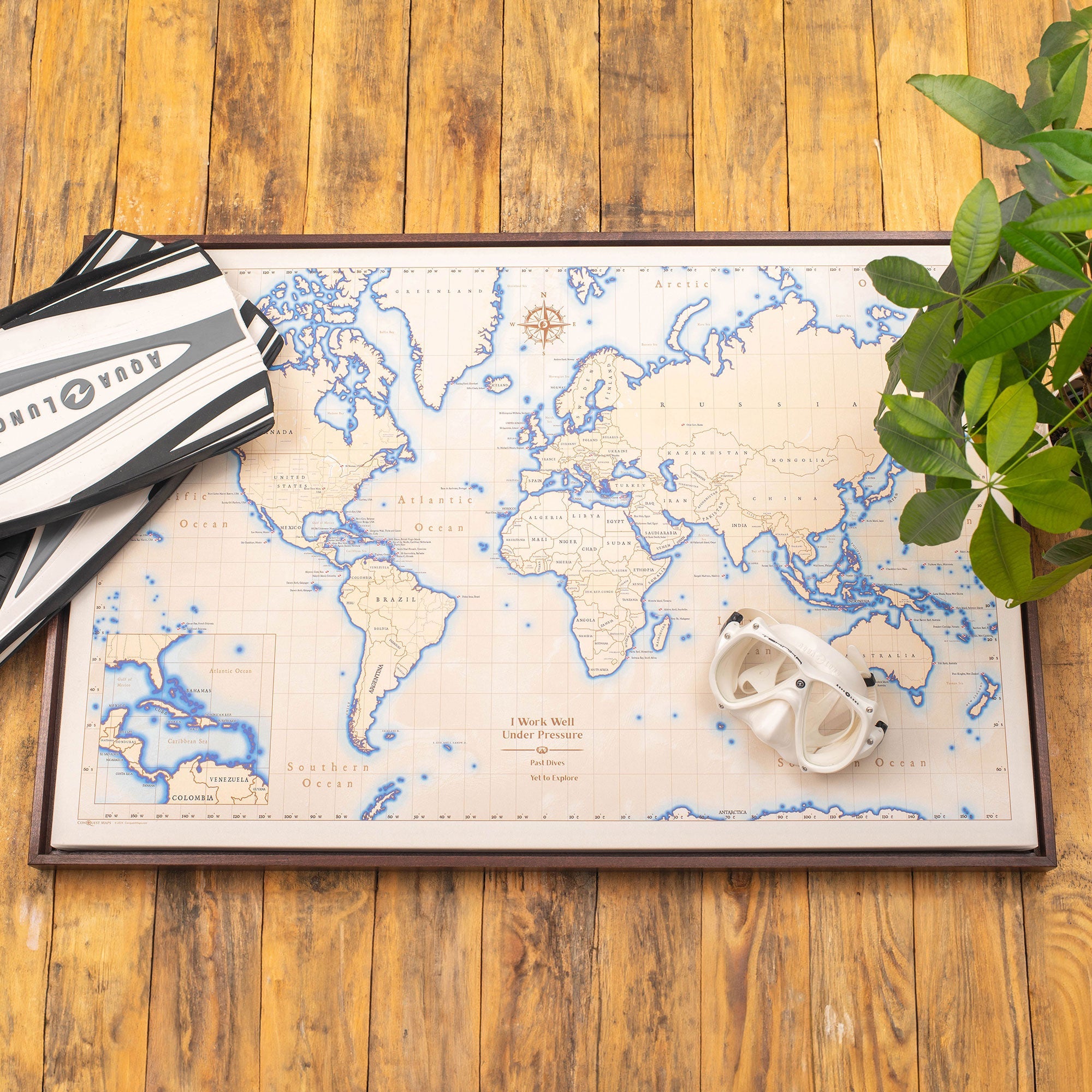 Push Pin Scuba World Map (Pin Board) - Pale CM Pin Board