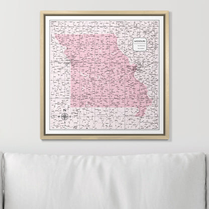 Push Pin Missouri Map (Pin Board) - Pink Color Splash CM Pin Board