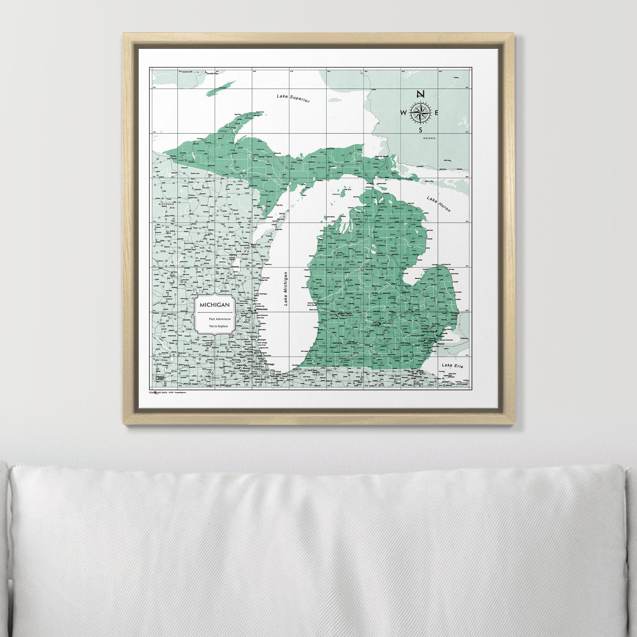 Push Pin Michigan Map (Pin Board) - Green Color Splash CM Pin Board