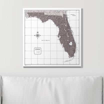 Push Pin Florida Map (Pin Board) - Dark Brown Color Splash CM Pin Board