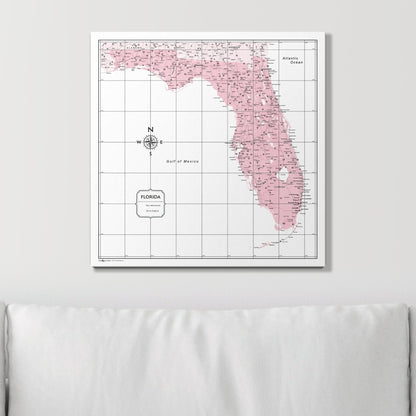 Push Pin Florida Map (Pin Board) - Pink Color Splash CM Pin Board