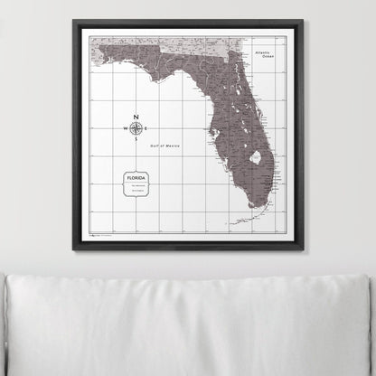 Push Pin Florida Map (Pin Board) - Dark Brown Color Splash CM Pin Board