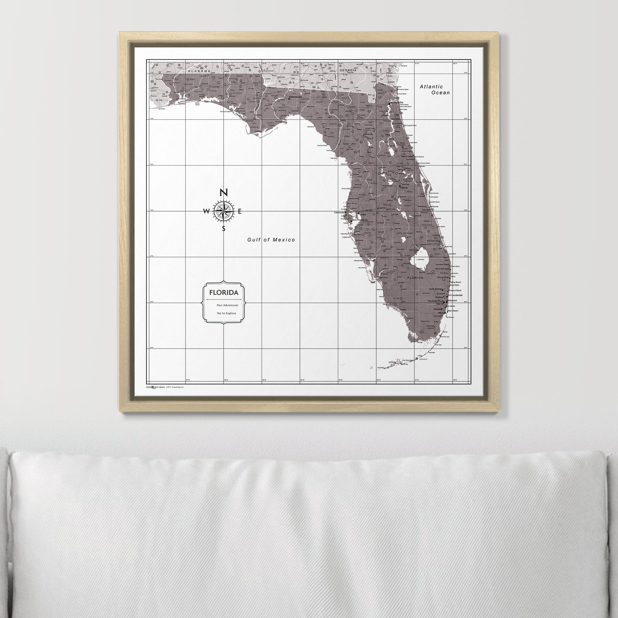 Push Pin Florida Map (Pin Board) - Dark Brown Color Splash CM Pin Board