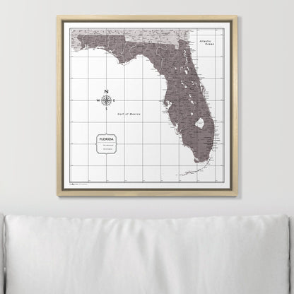 Push Pin Florida Map (Pin Board) - Dark Brown Color Splash CM Pin Board