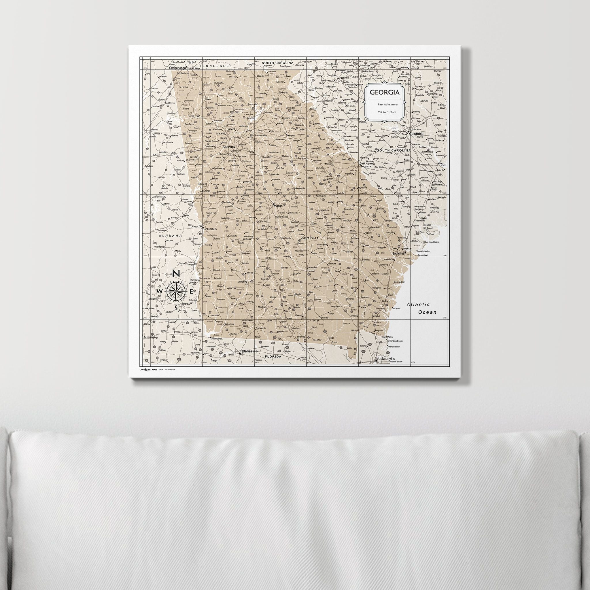 Push Pin Georgia Map (Pin Board) - Light Brown Color Splash CM Pin Board