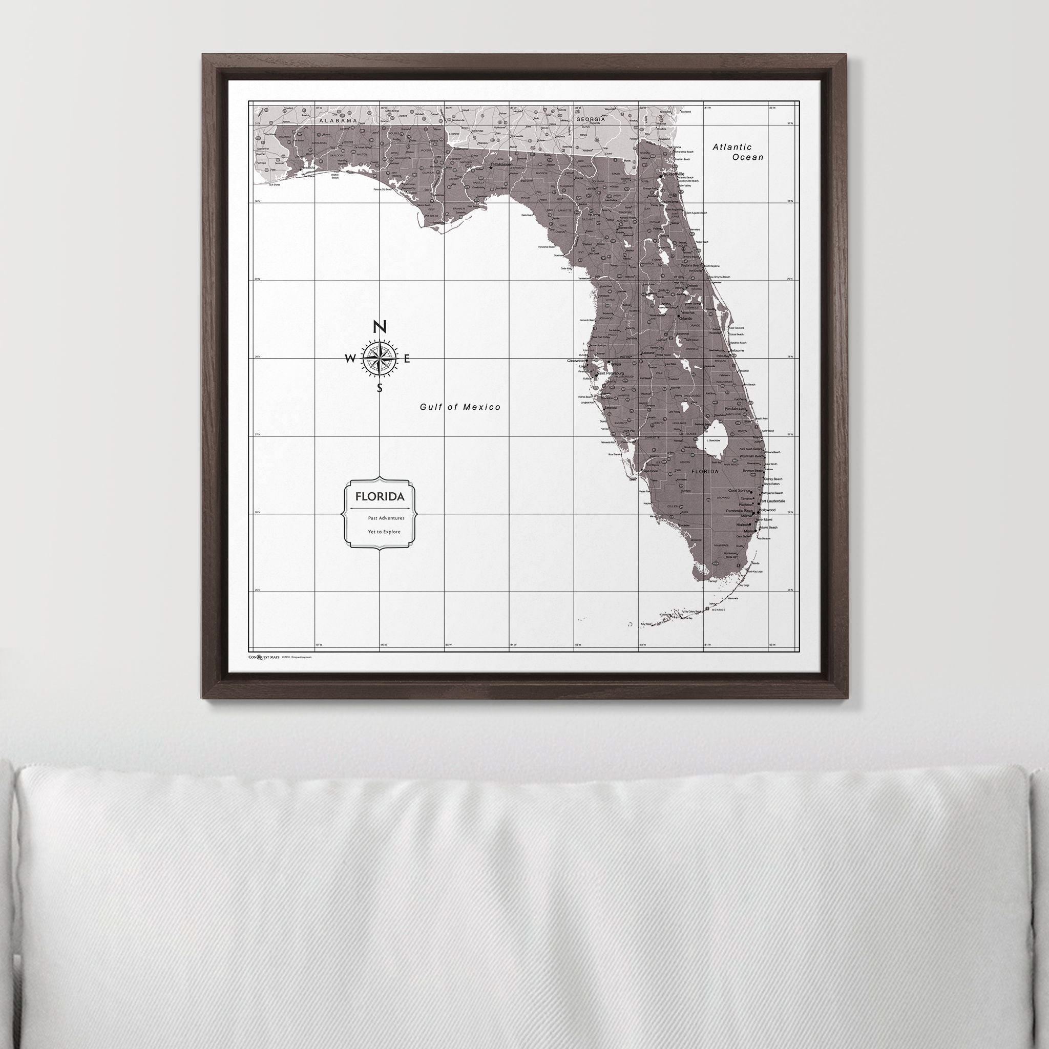 Push Pin Florida Map (Pin Board) - Dark Brown Color Splash CM Pin Board