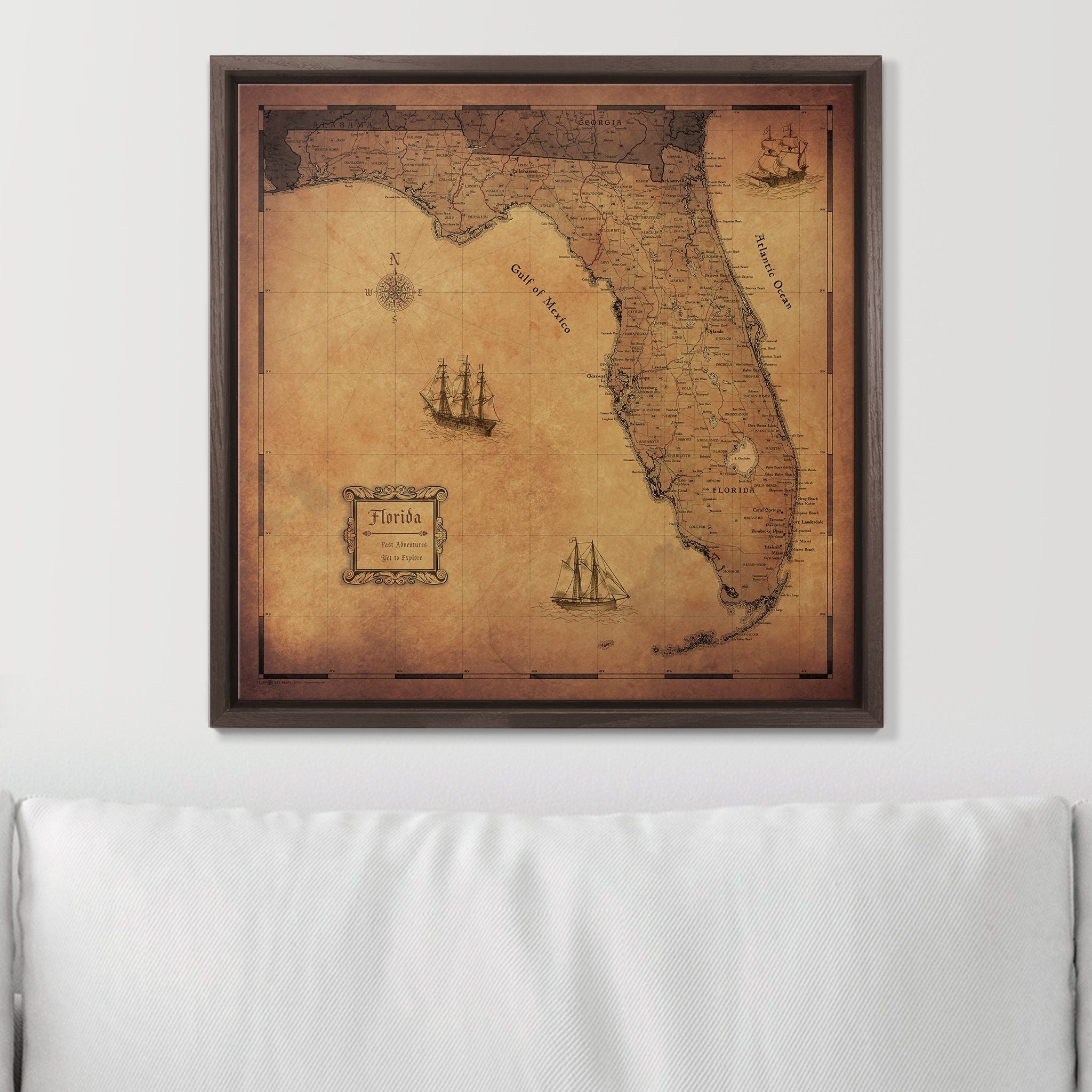 Push Pin Florida Map (Pin Board) - Golden Aged CM Pin Board