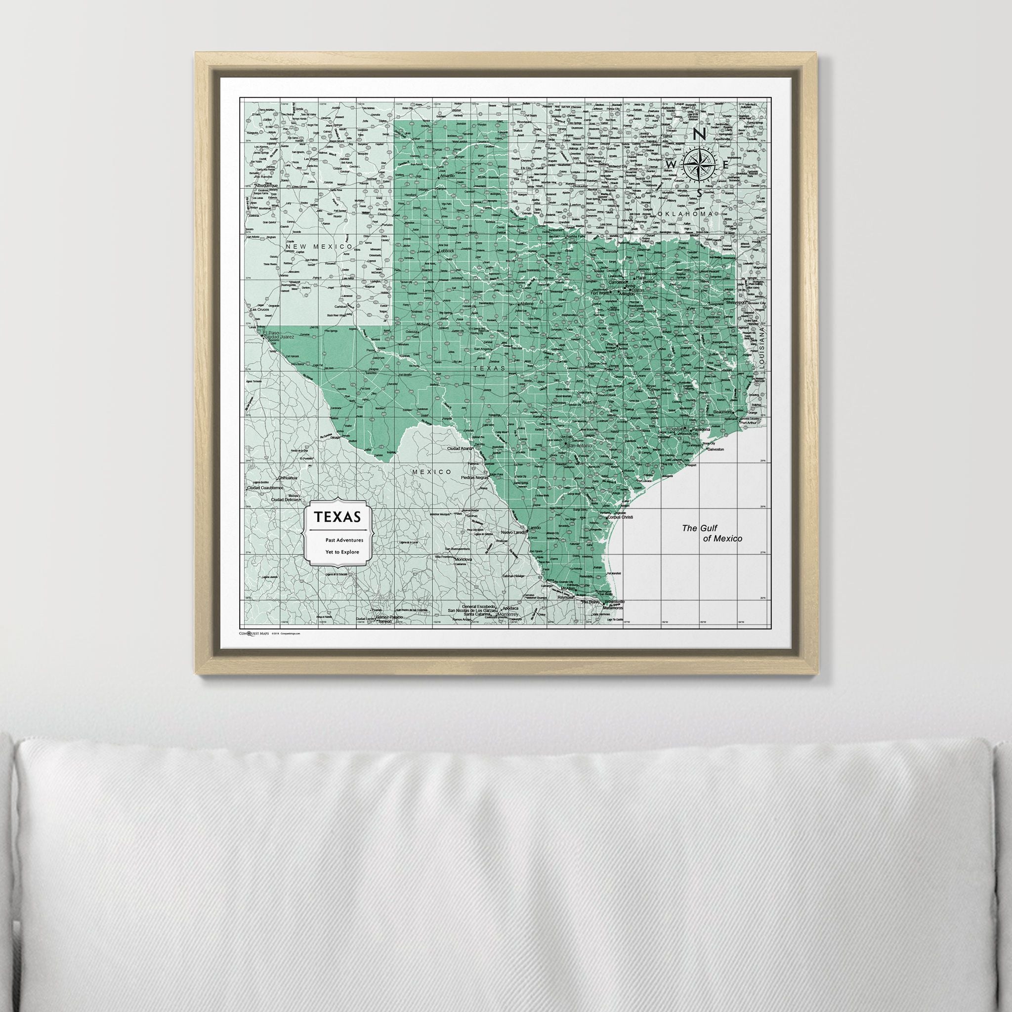 Push Pin Texas Map (Pin Board) - Green Color Splash CM Pin Board