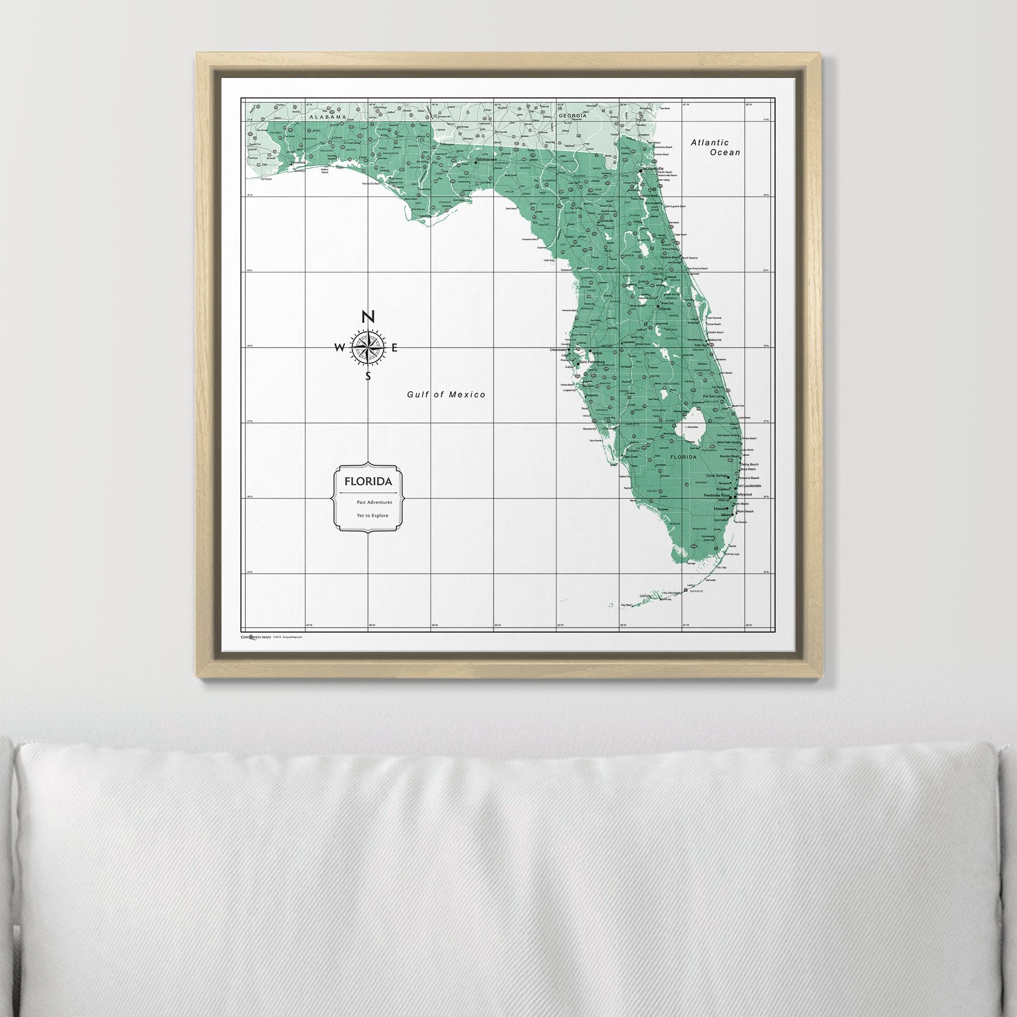 Push Pin Florida Map (Pin Board) - Green Color Splash CM Pin Board