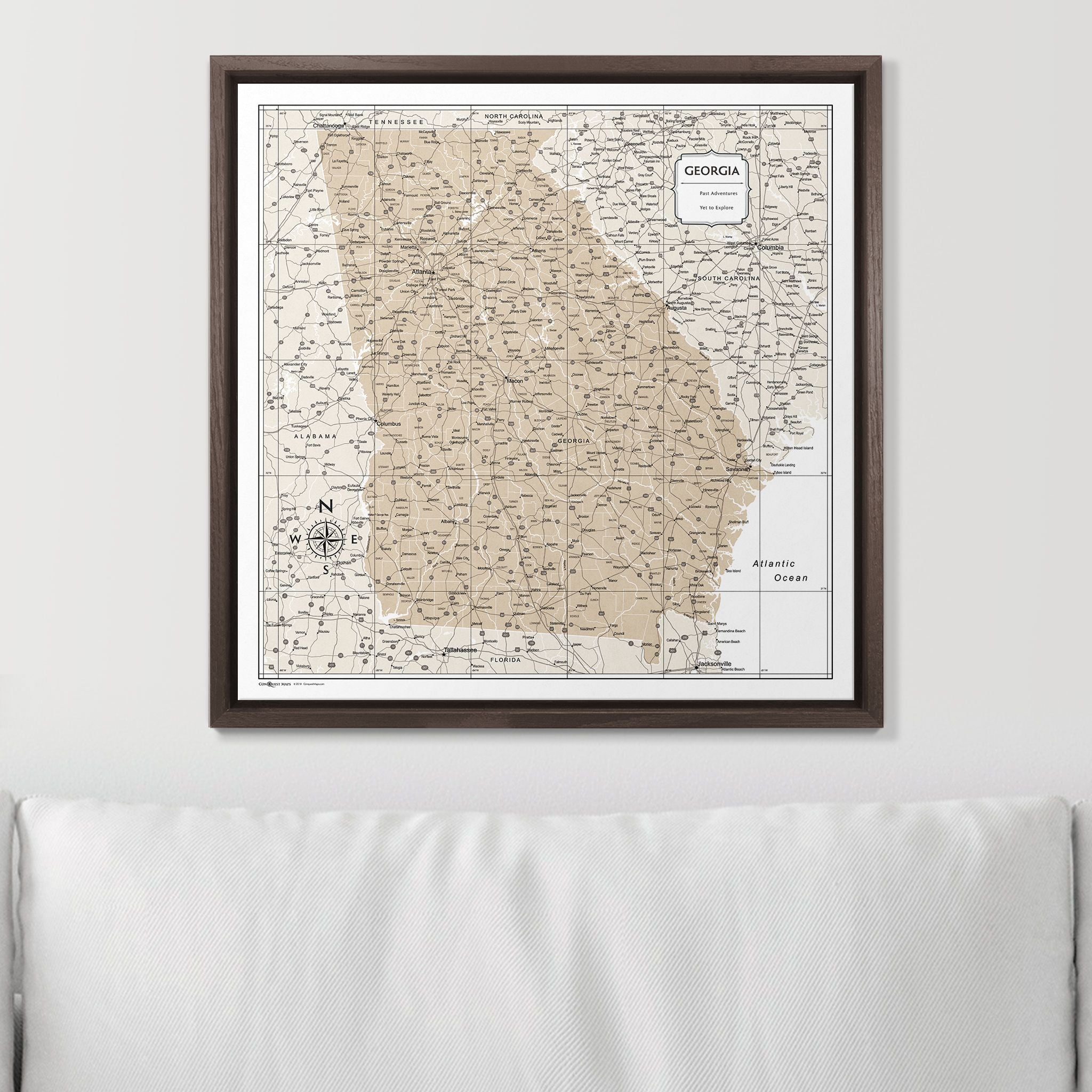 Push Pin Georgia Map (Pin Board) - Light Brown Color Splash CM Pin Board