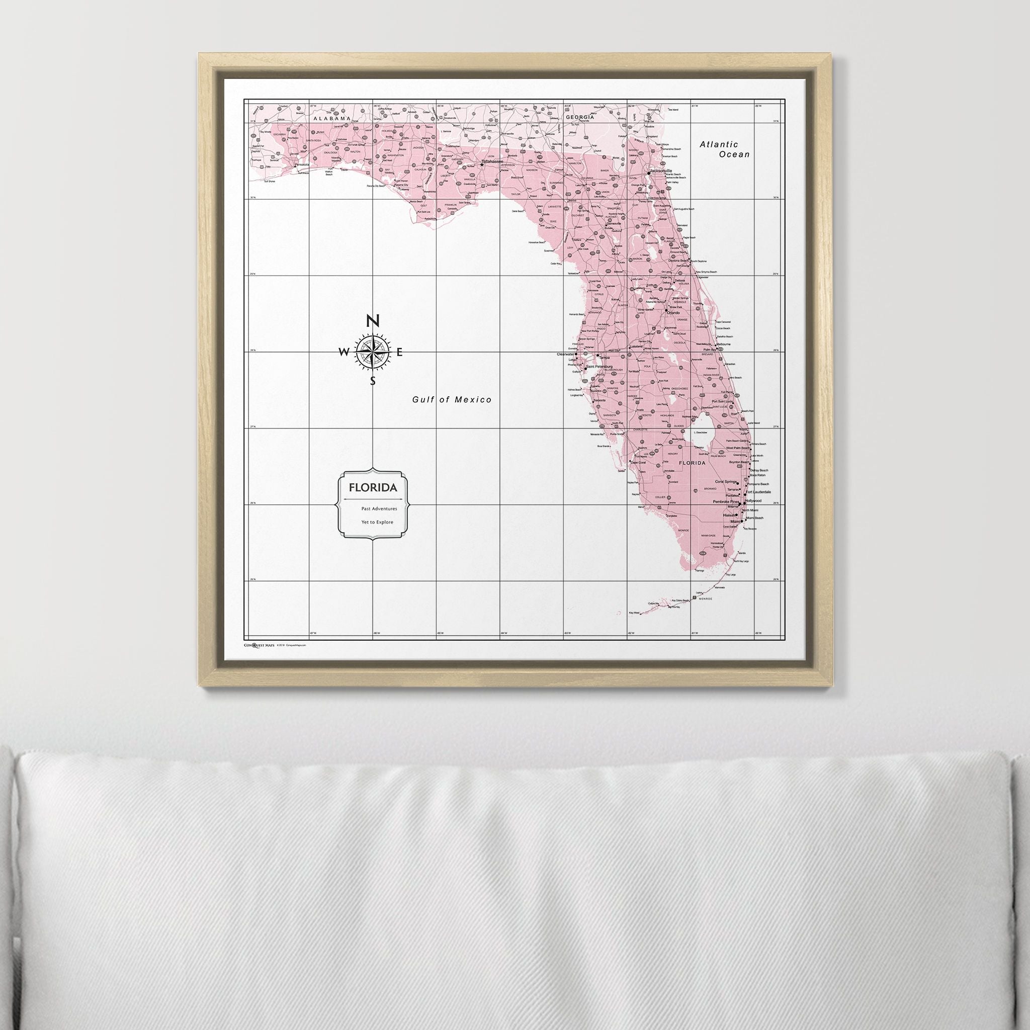 Push Pin Florida Map (Pin Board) - Pink Color Splash CM Pin Board