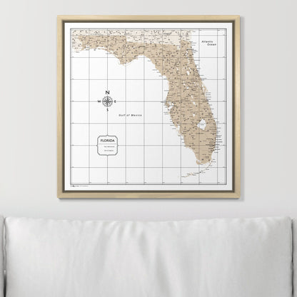 Push Pin Florida Map (Pin Board) - Light Brown Color Splash CM Pin Board