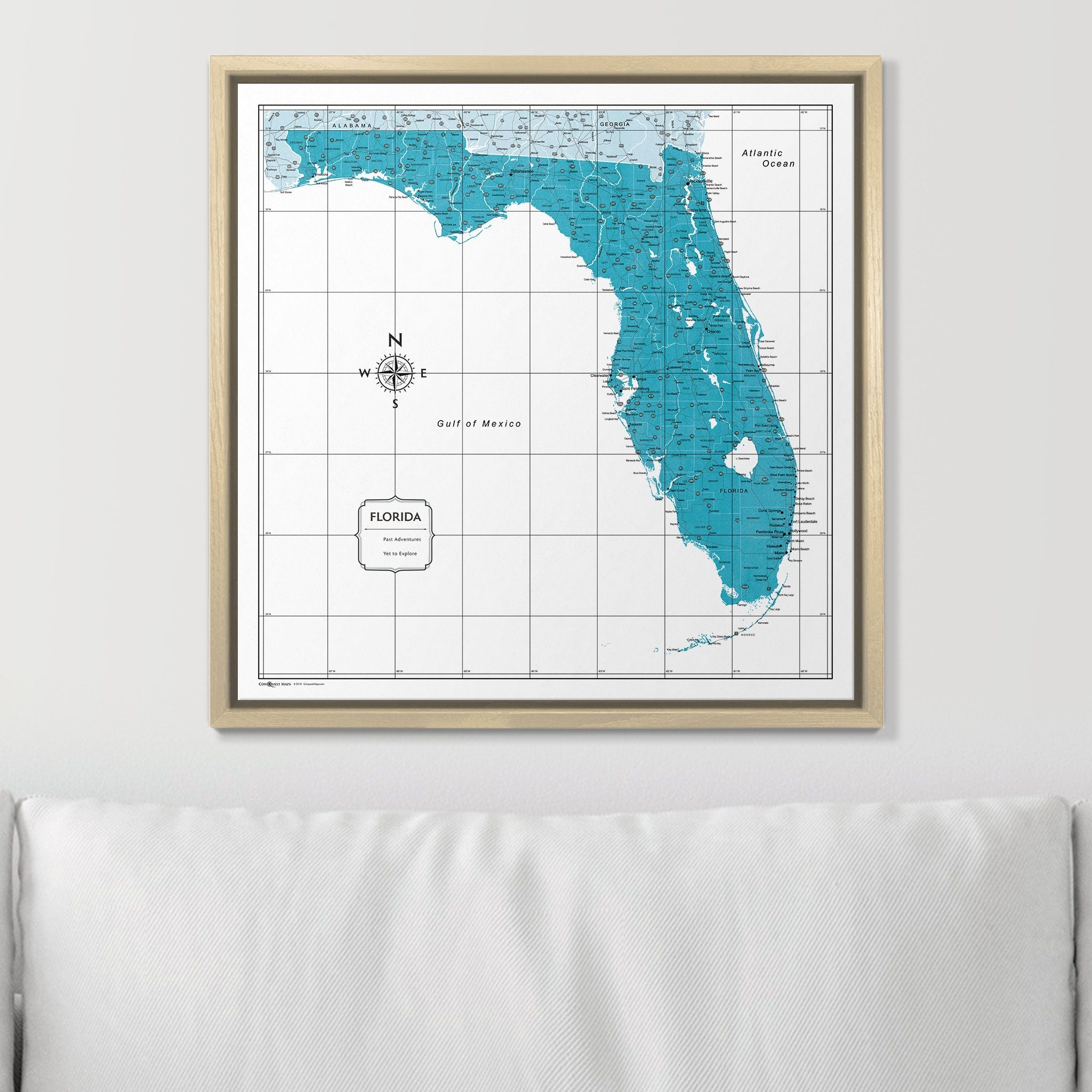 Push Pin Florida Map (Pin Board) - Teal Color Splash CM Pin Board