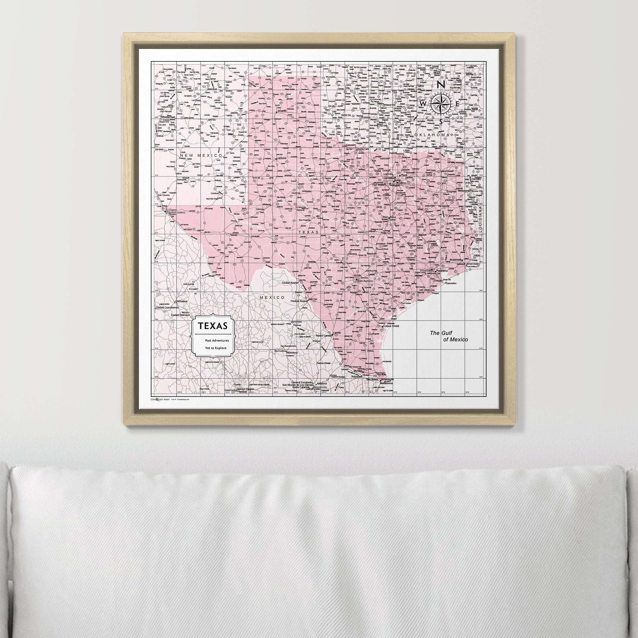 Push Pin Texas Map (Pin Board) - Pink Color Splash CM Pin Board