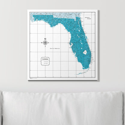 Push Pin Florida Map (Pin Board) - Teal Color Splash CM Pin Board