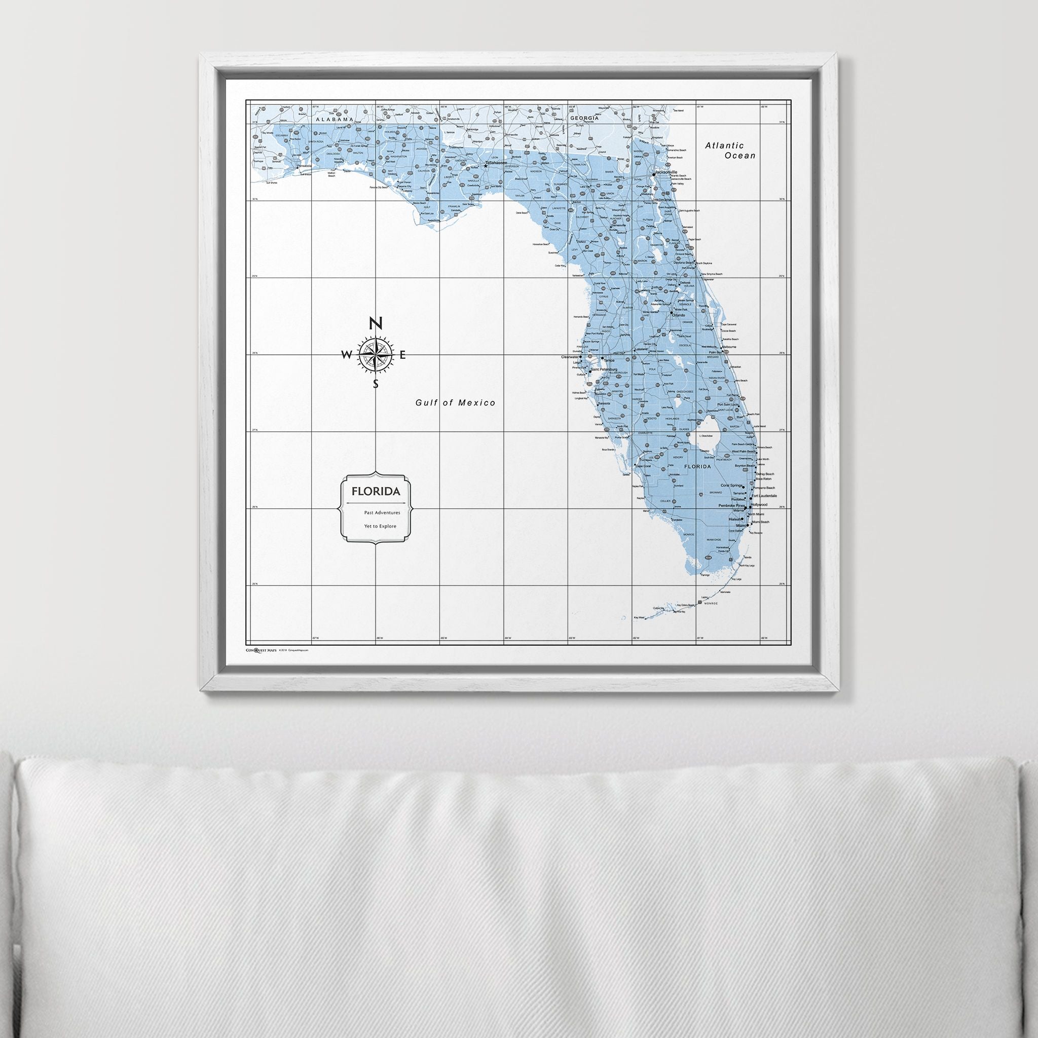 Push Pin Florida Map (Pin Board) - Light Blue Color Splash CM Pin Board