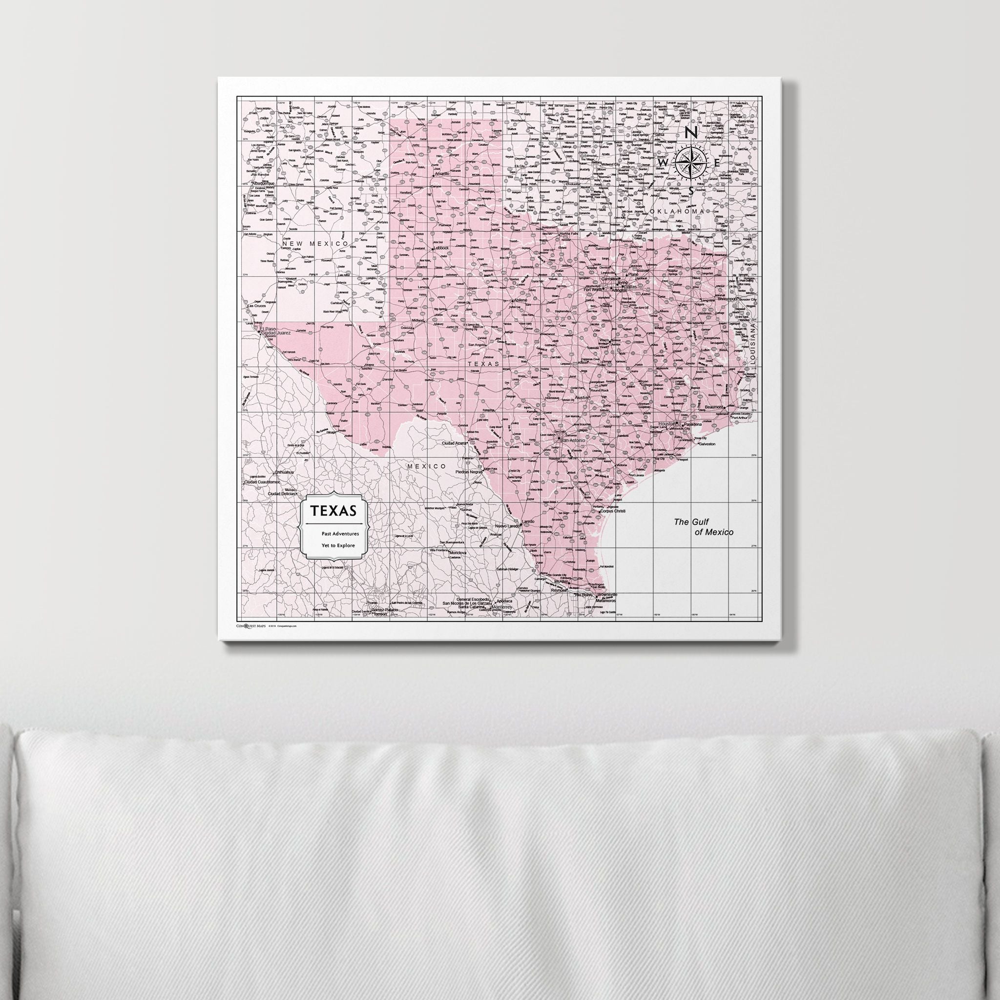 Push Pin Texas Map (Pin Board) - Pink Color Splash CM Pin Board