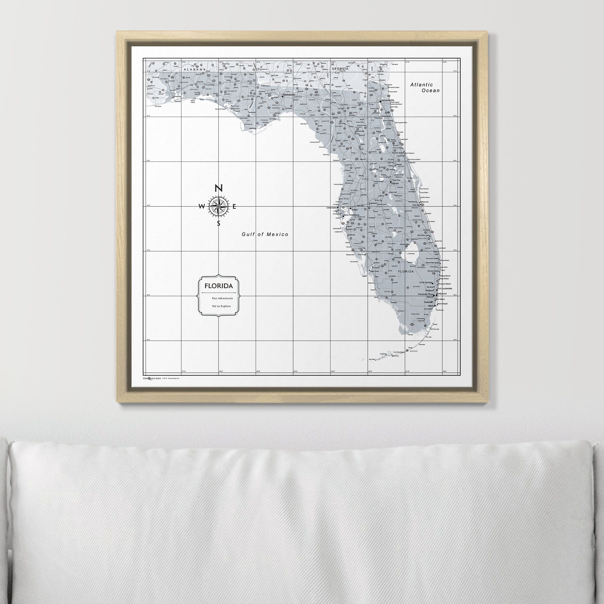 Push Pin Florida Map (Pin Board) - Light Gray Color Splash CM Pin Board