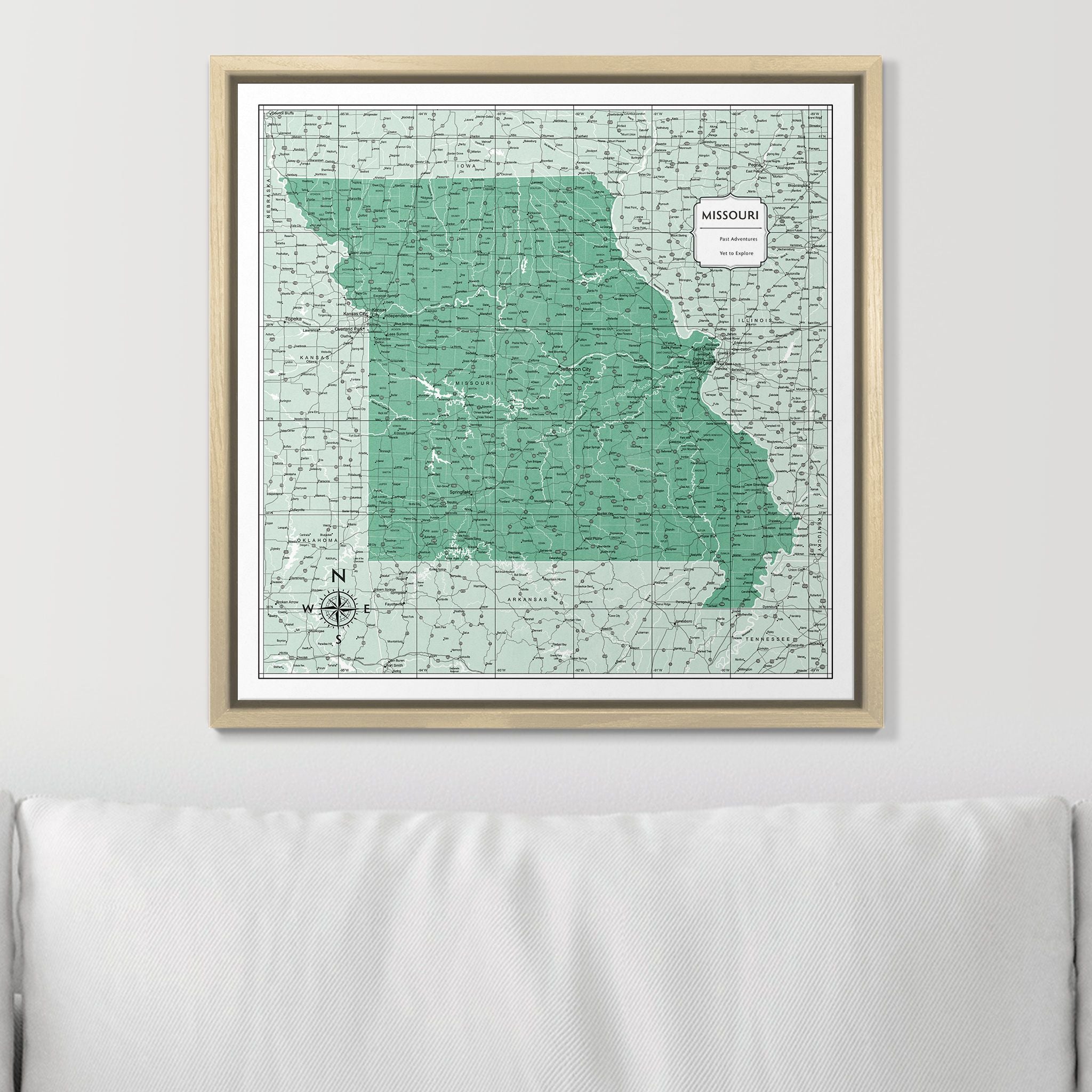 Push Pin Missouri Map (Pin Board) - Green Color Splash CM Pin Board