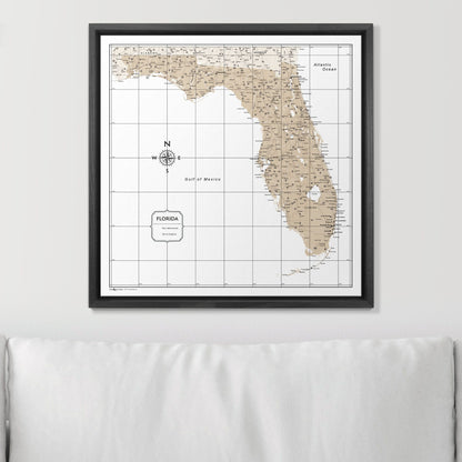 Push Pin Florida Map (Pin Board) - Light Brown Color Splash CM Pin Board