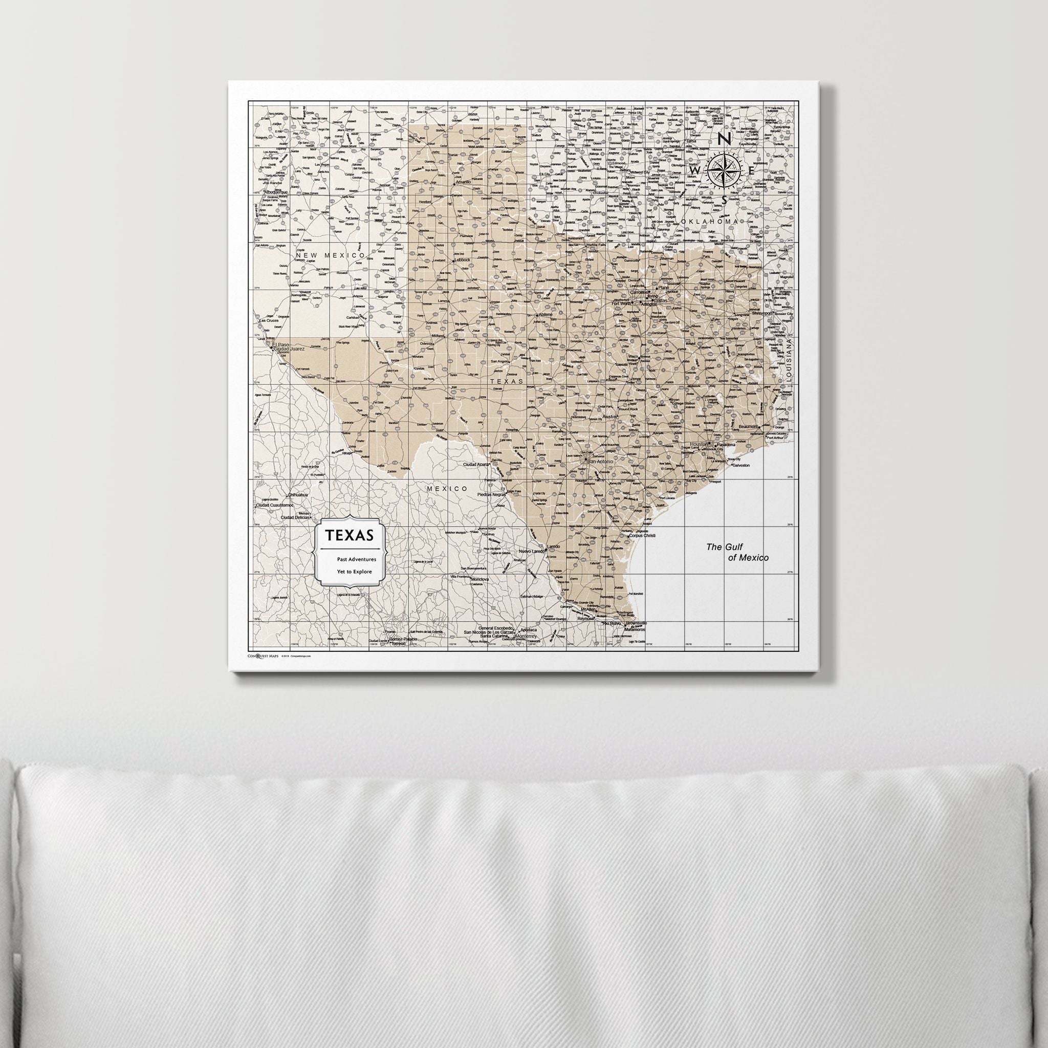 Push Pin Texas Map (Pin Board) - Light Brown Color Splash CM Pin Board