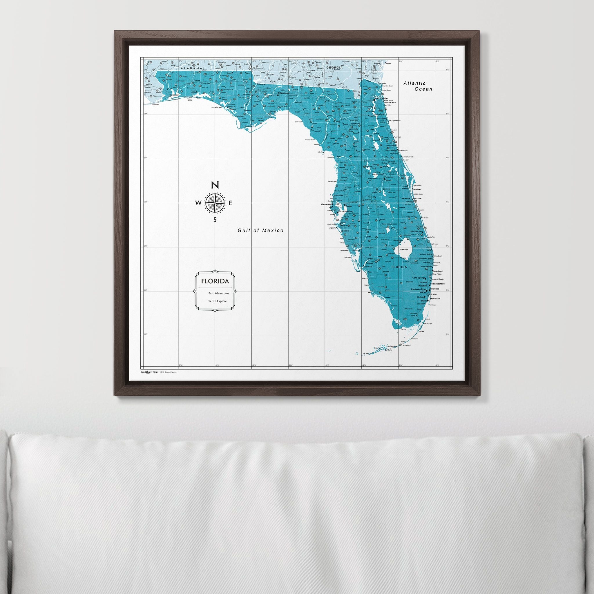 Push Pin Florida Map (Pin Board) - Teal Color Splash CM Pin Board