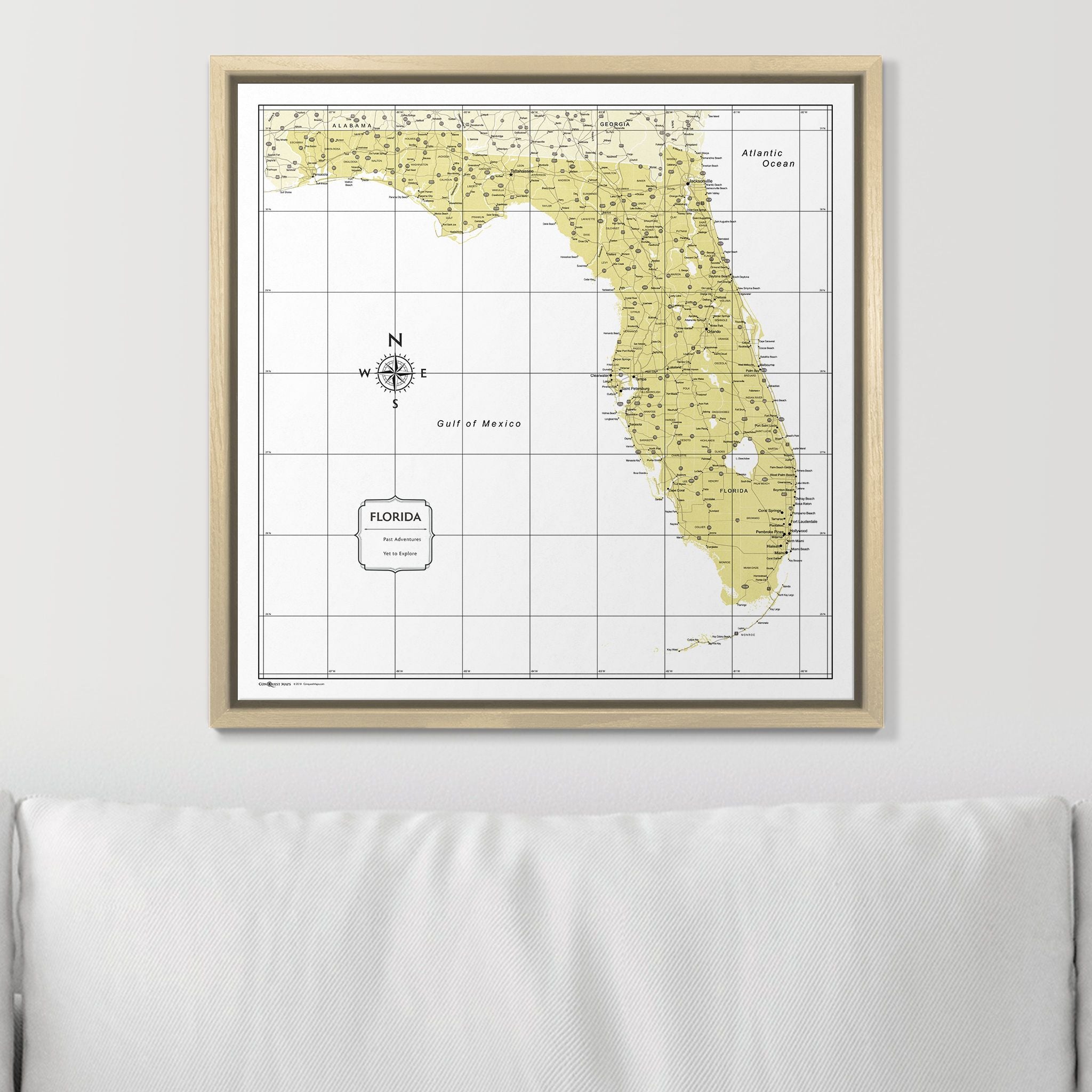 Push Pin Florida Map (Pin Board) - Yellow Color Splash CM Pin Board