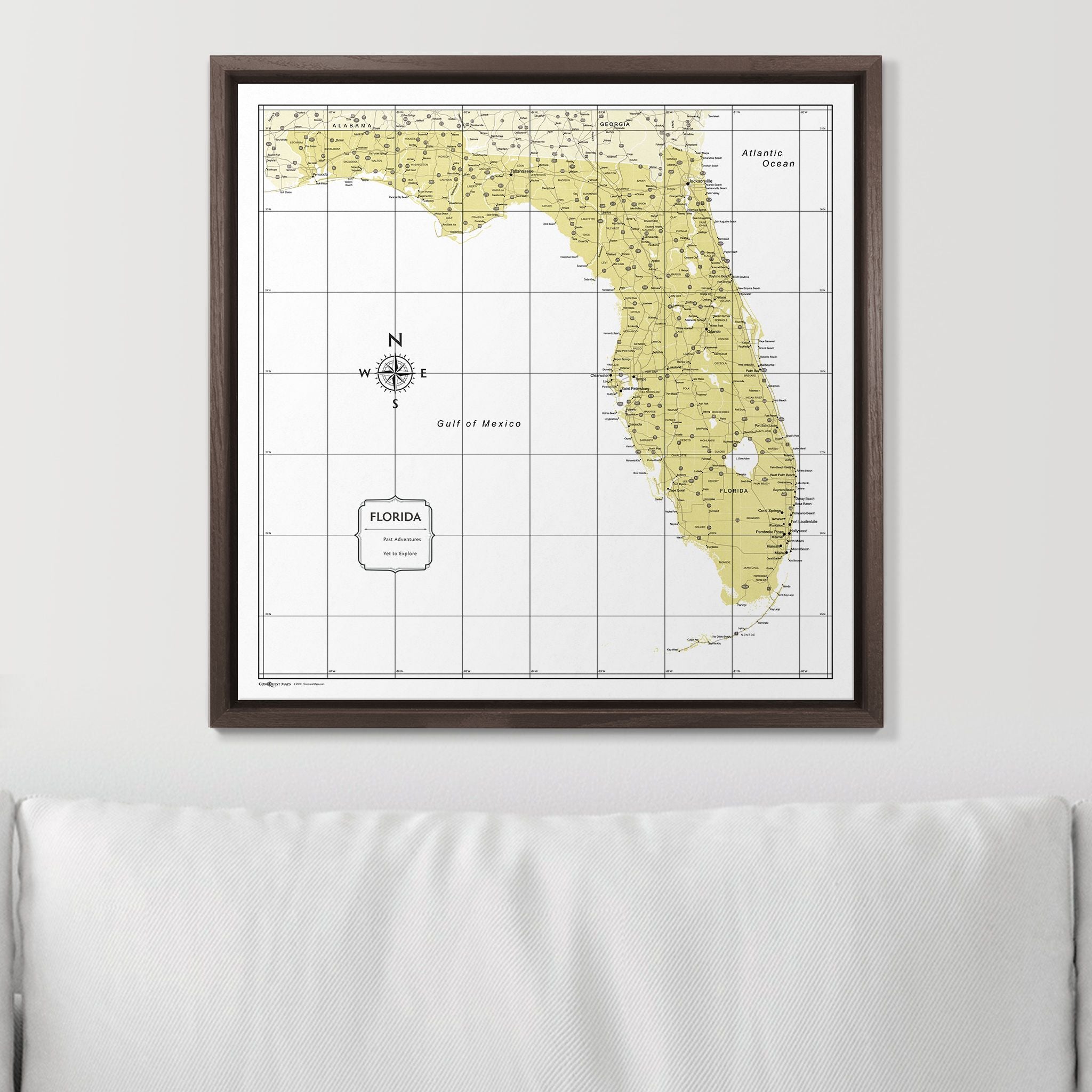 Push Pin Florida Map (Pin Board) - Yellow Color Splash CM Pin Board