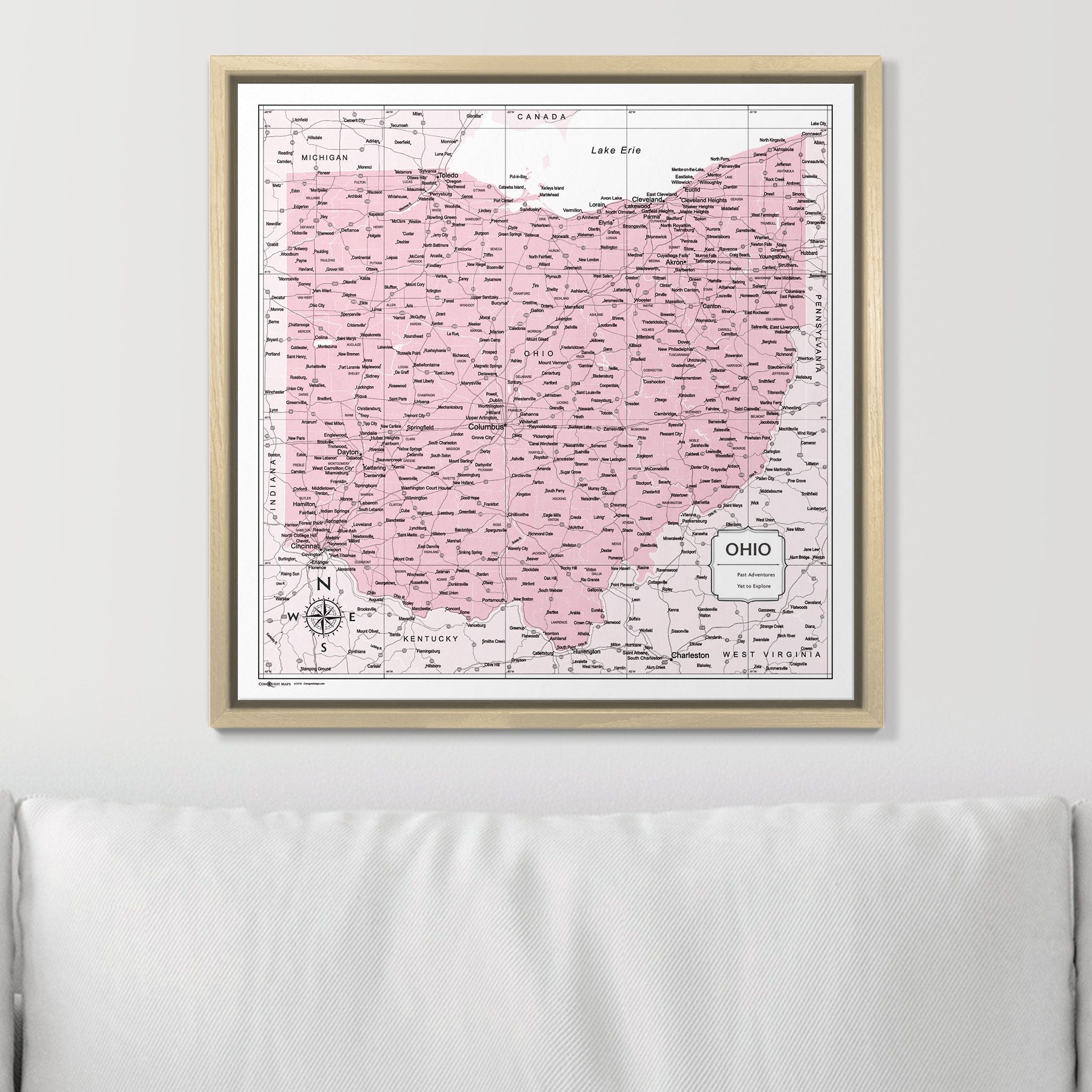 Push Pin Ohio Map (Pin Board) - Pink Color Splash CM Pin Board