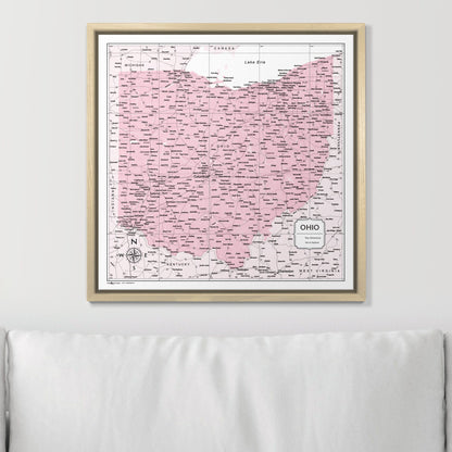 Push Pin Ohio Map (Pin Board) - Pink Color Splash CM Pin Board