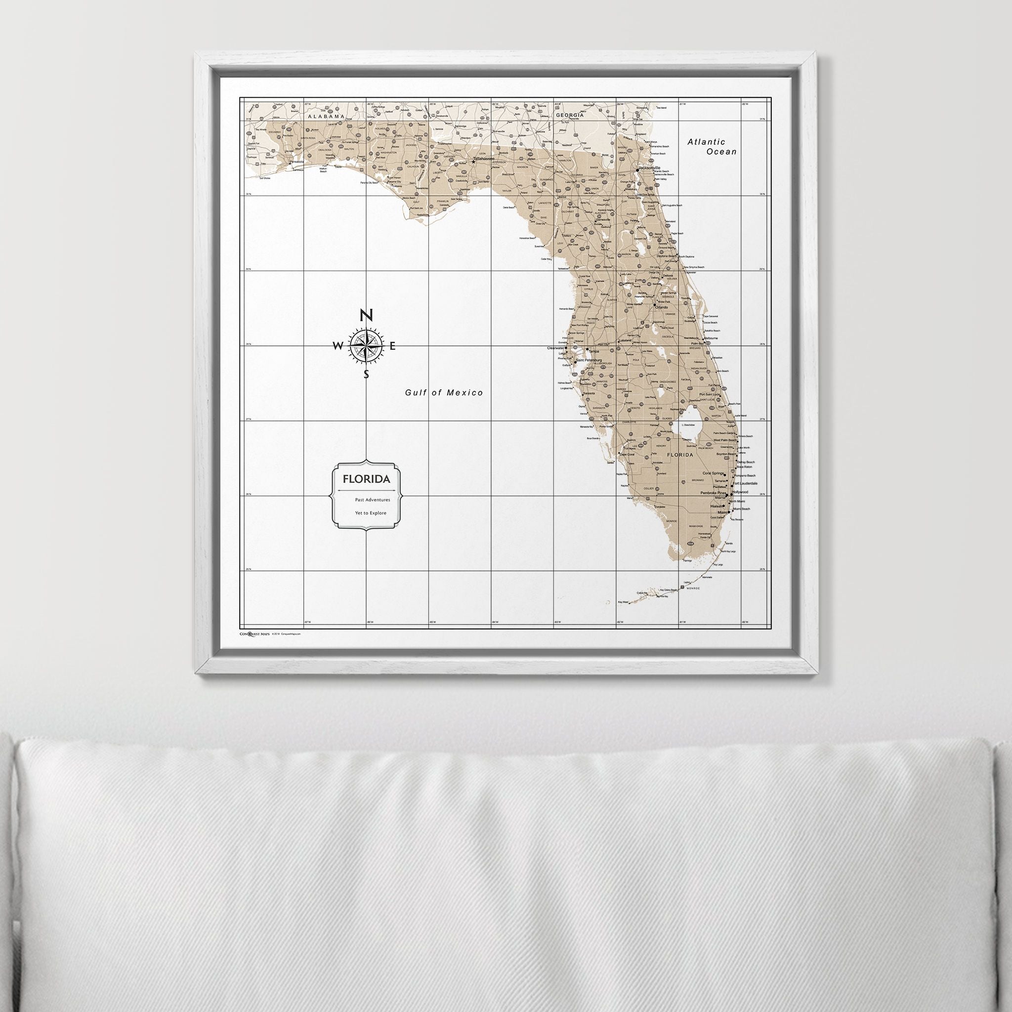 Push Pin Florida Map (Pin Board) - Light Brown Color Splash CM Pin Board