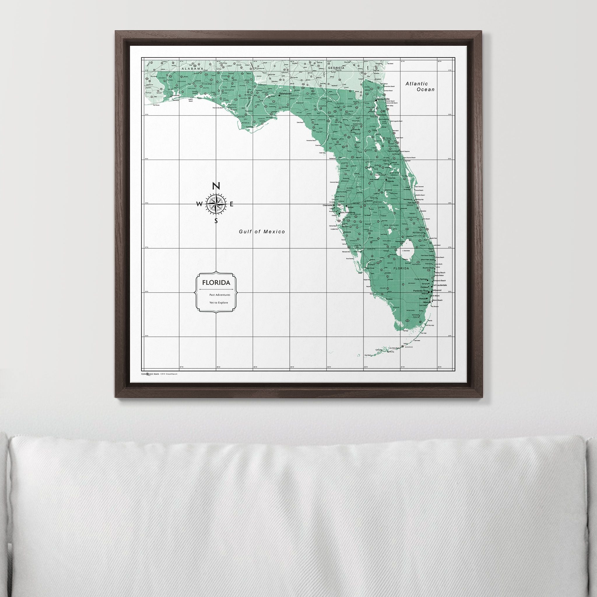 Push Pin Florida Map (Pin Board) - Green Color Splash CM Pin Board