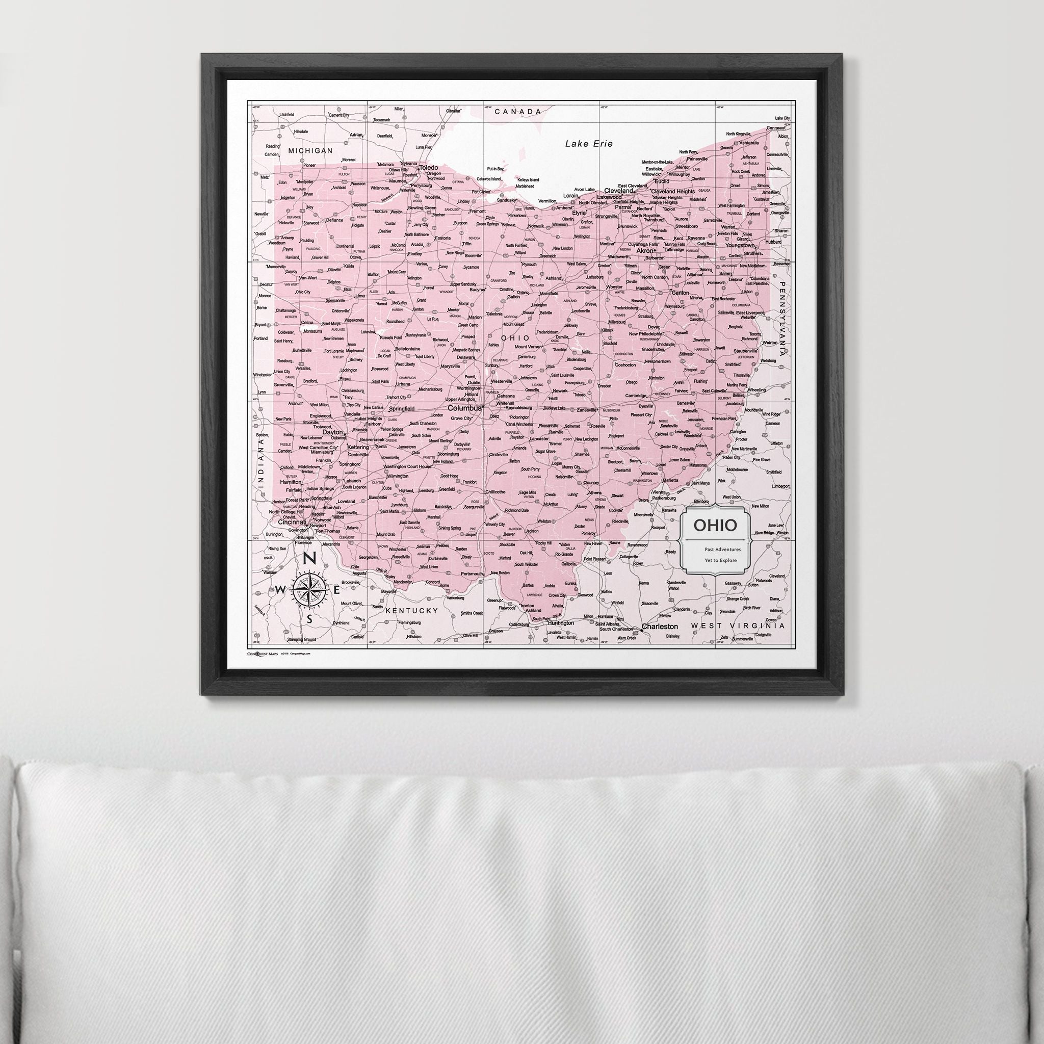 Push Pin Ohio Map (Pin Board) - Pink Color Splash CM Pin Board