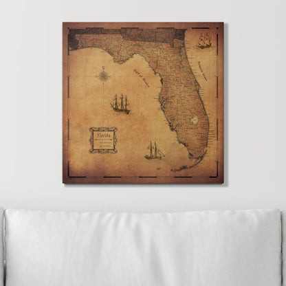 Push Pin Florida Map (Pin Board) - Golden Aged CM Pin Board