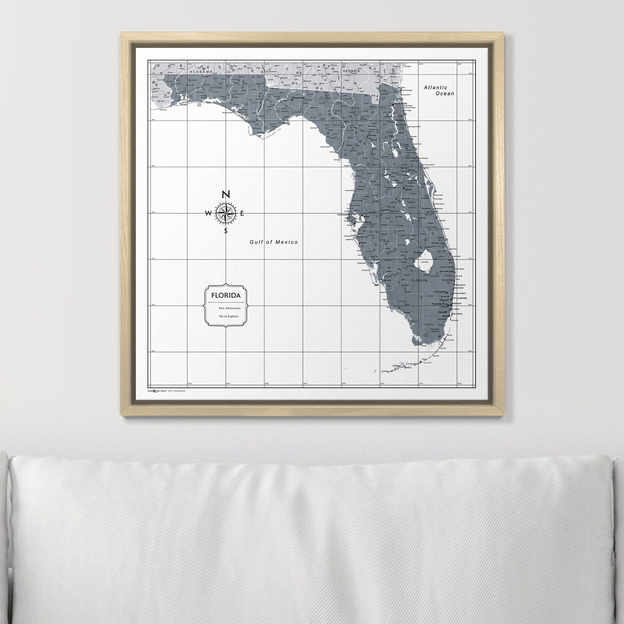 Push Pin Florida Map (Pin Board) - Dark Gray Color Splash CM Pin Board