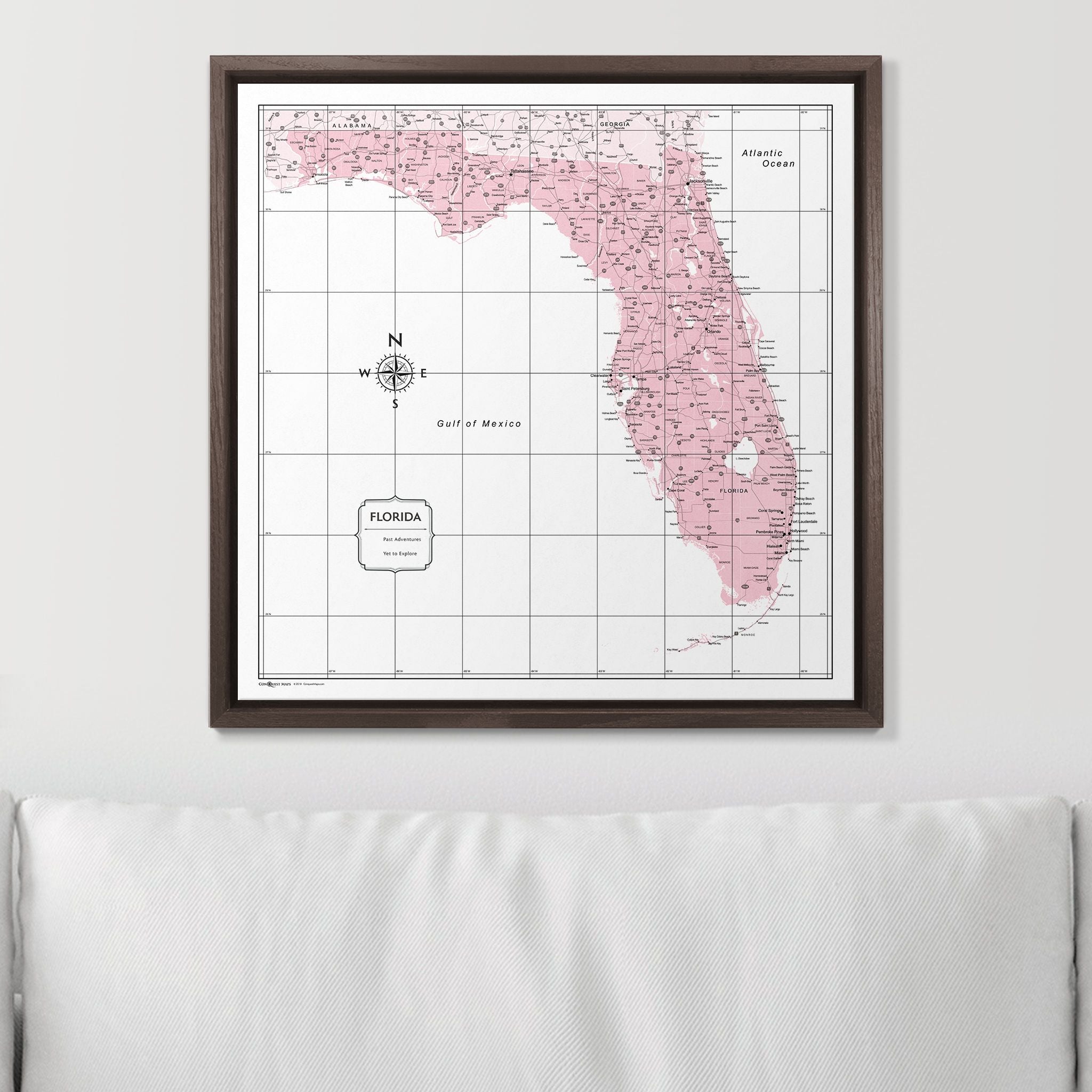 Push Pin Florida Map (Pin Board) - Pink Color Splash CM Pin Board