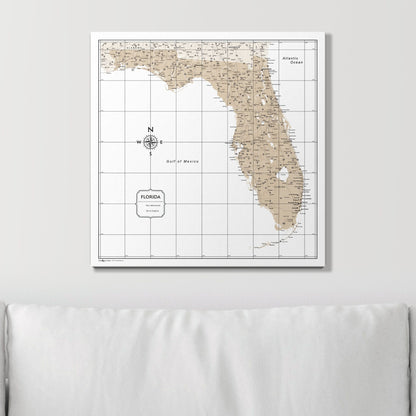 Push Pin Florida Map (Pin Board) - Light Brown Color Splash CM Pin Board