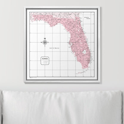 Push Pin Florida Map (Pin Board) - Pink Color Splash CM Pin Board