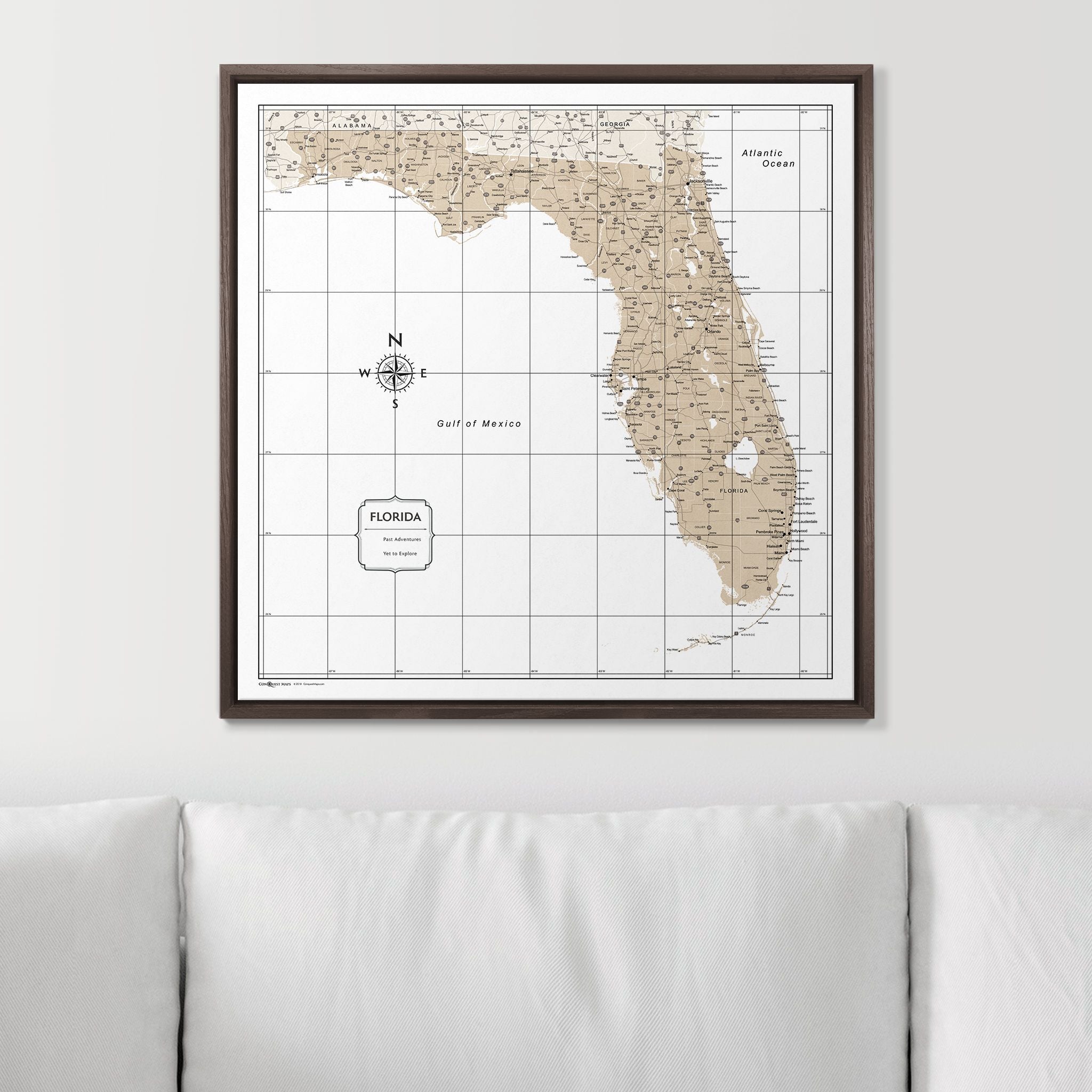 Push Pin Florida Map (Pin Board) - Light Brown Color Splash CM Pin Board