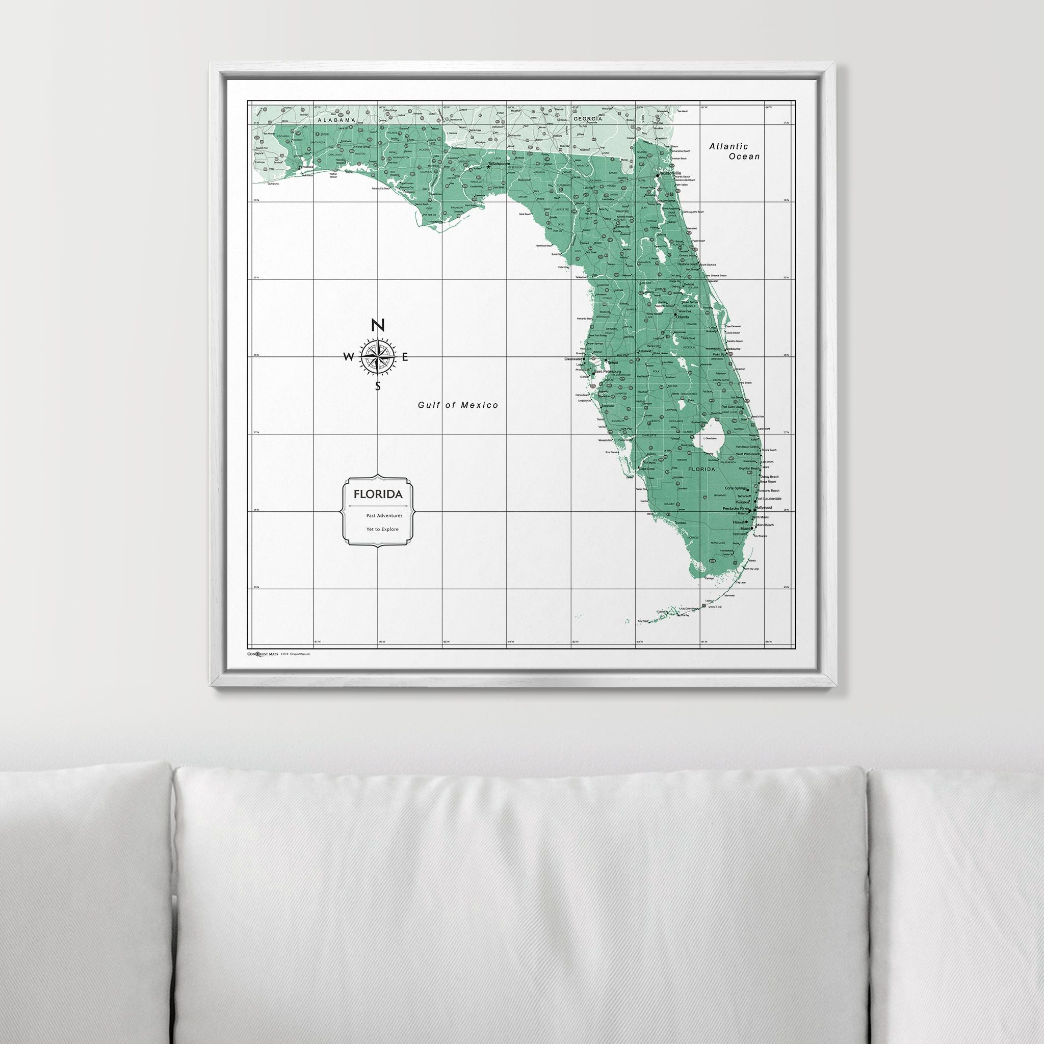 Push Pin Florida Map (Pin Board) - Green Color Splash CM Pin Board