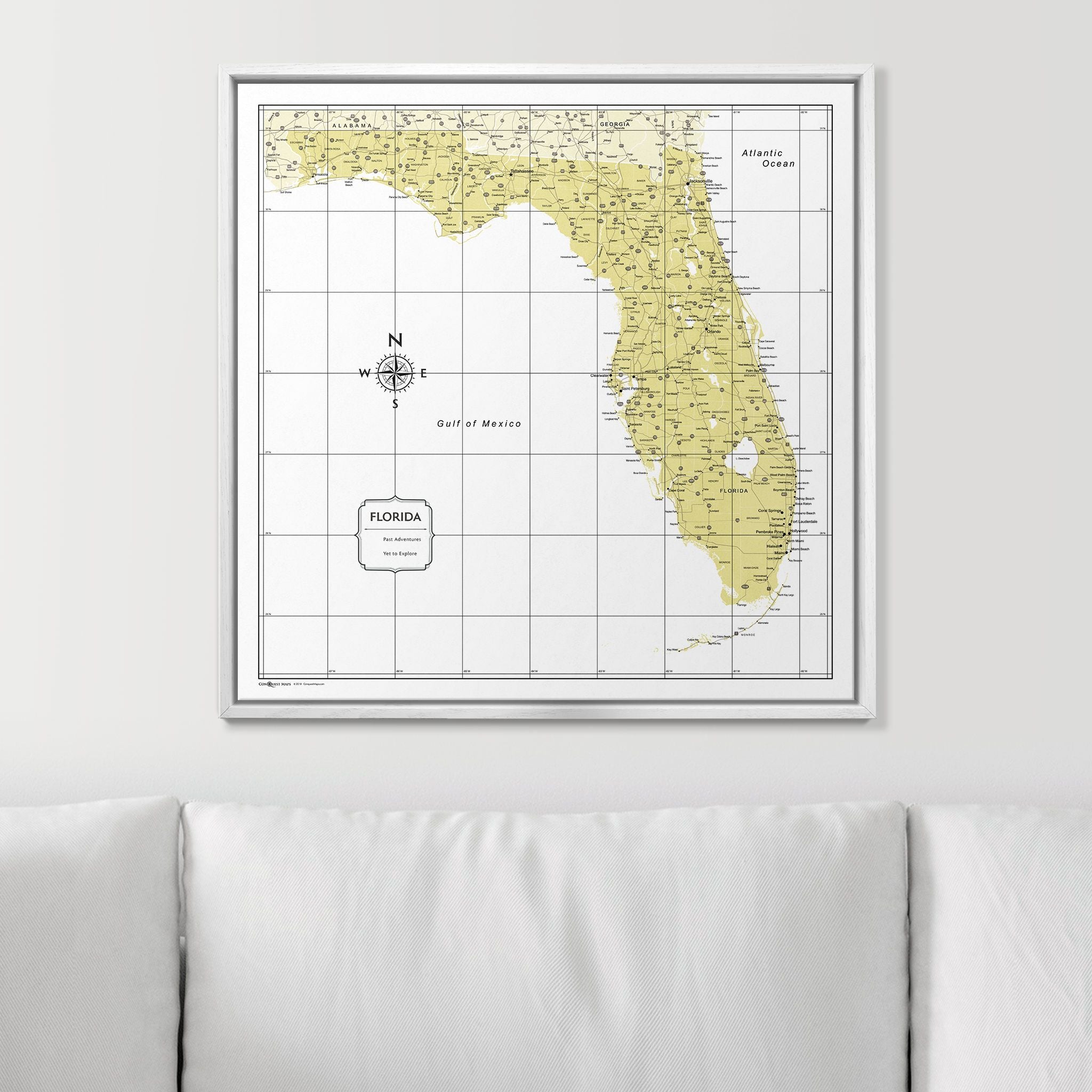 Push Pin Florida Map (Pin Board) - Yellow Color Splash CM Pin Board